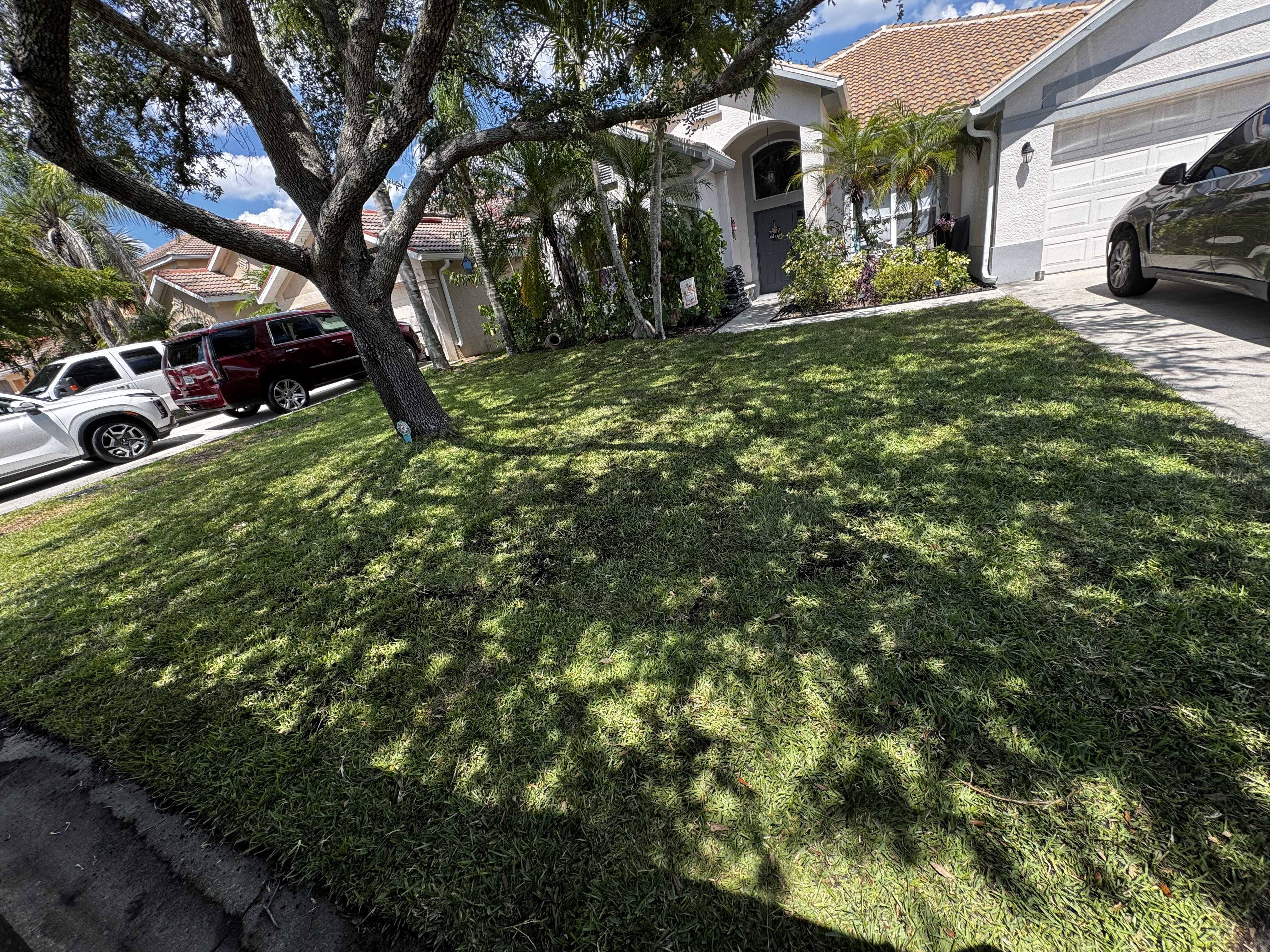  for BH Lawn and Landscape in Fort Myers, FL