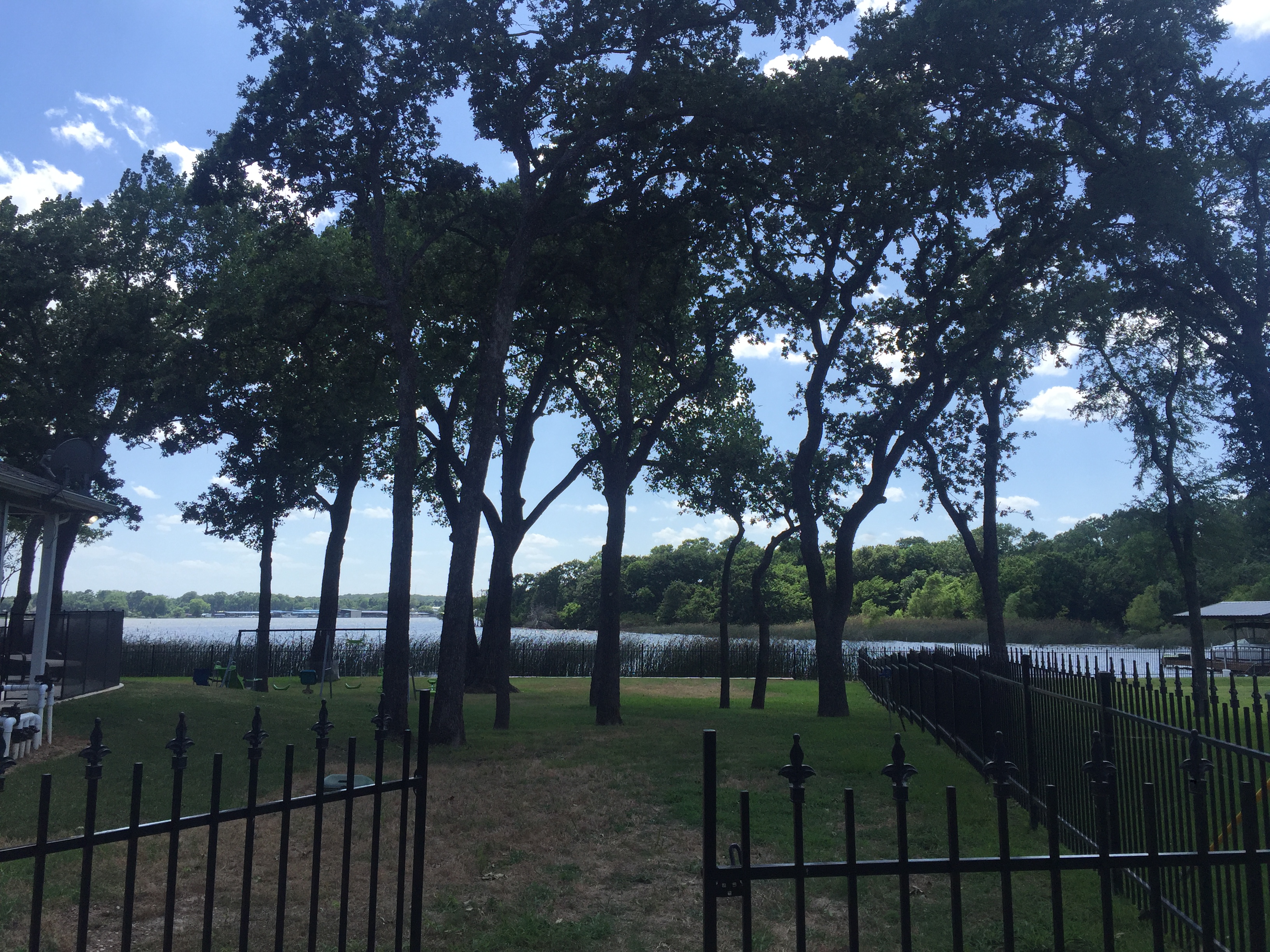  for Classic cut tree trimming and removal in Arlington, TX