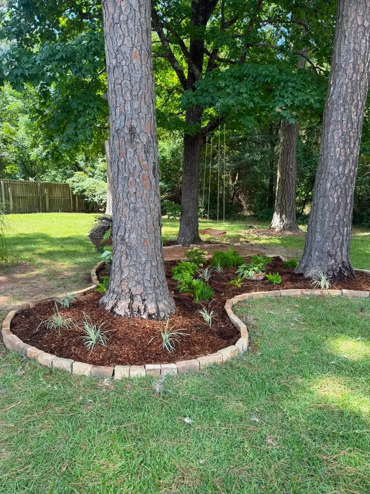 Landscape bed with brick edging around mature trees in Texarkana, TX
