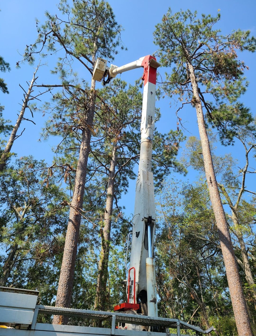 Tree Services company Breaktime Tree Trimming & Removal in Oakdale, LA