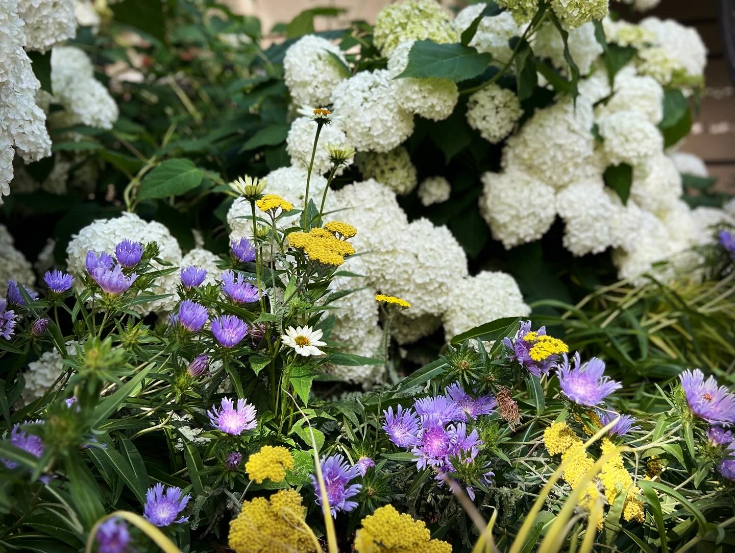 landscaping & hardscaping company Christina King Landscape Design in West Raleigh, NC