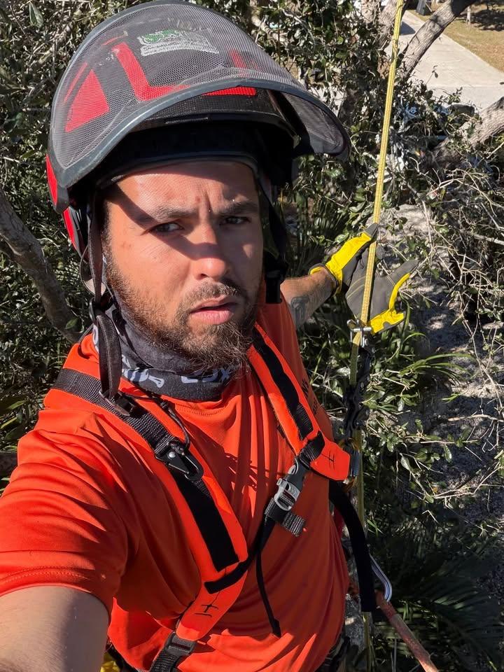  for Damian’s Tree Care in Sarasota, FL