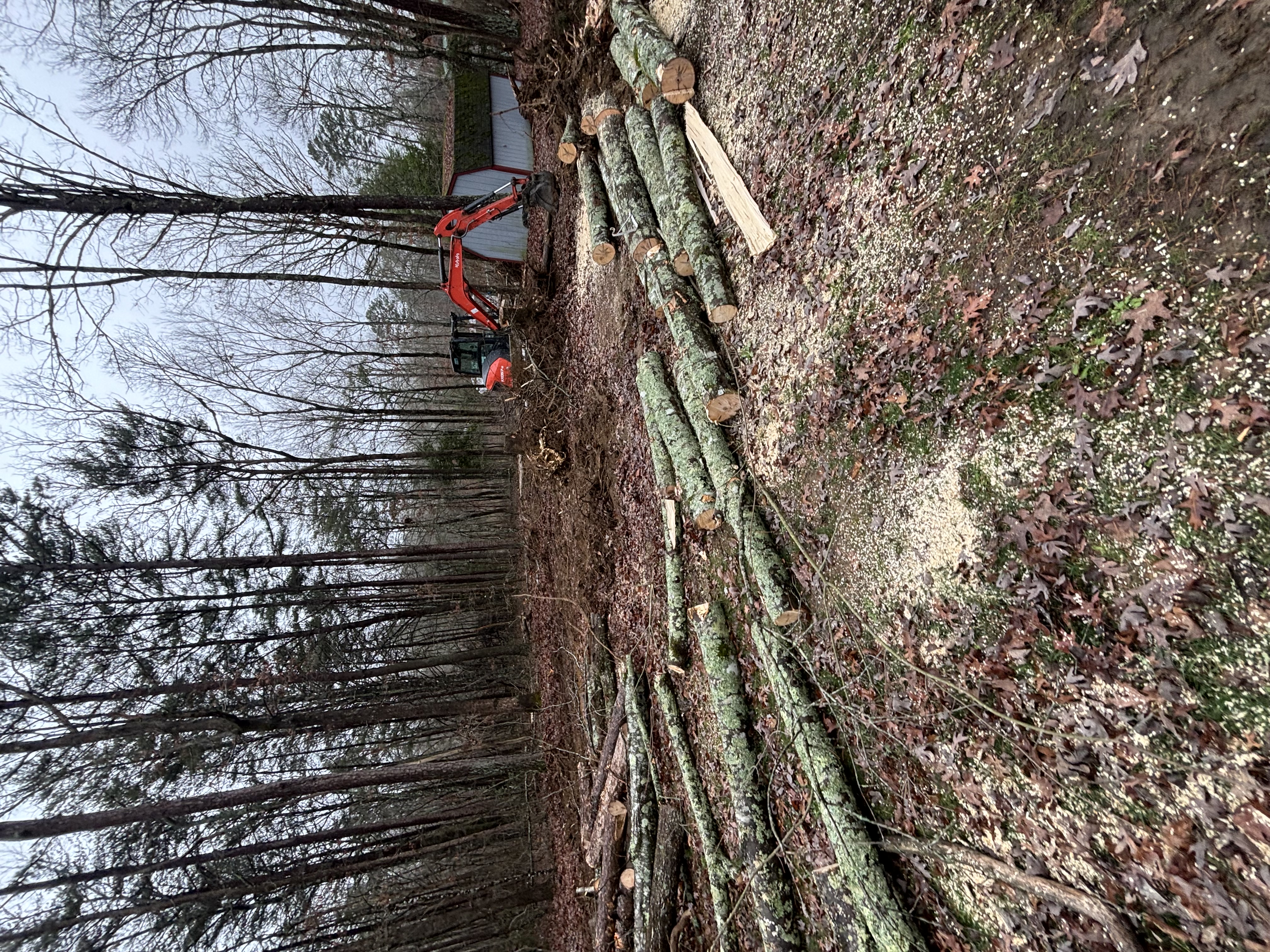  for TD Dirtworks in Tracy City, TN