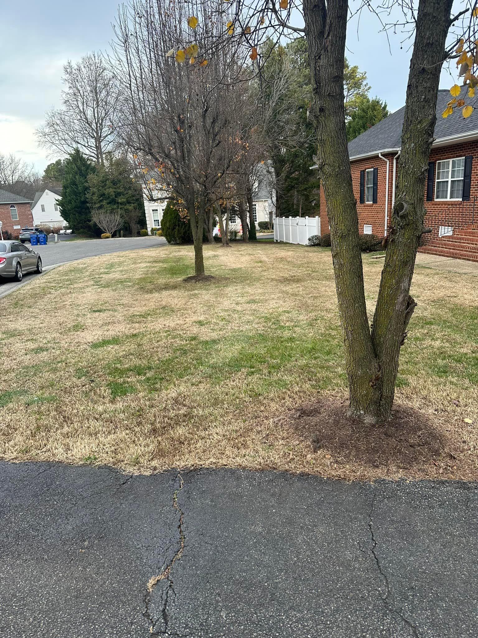  for Lawn Popper's, LLC in Richmond, VA