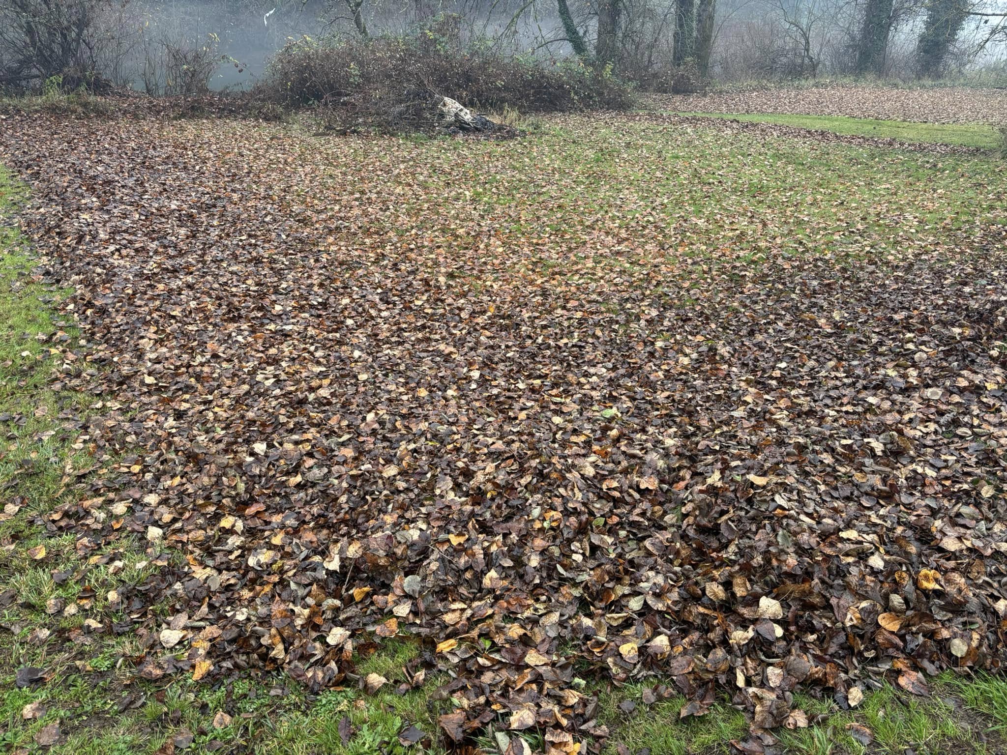  for Ring Property Maintenance in Willamina, OR