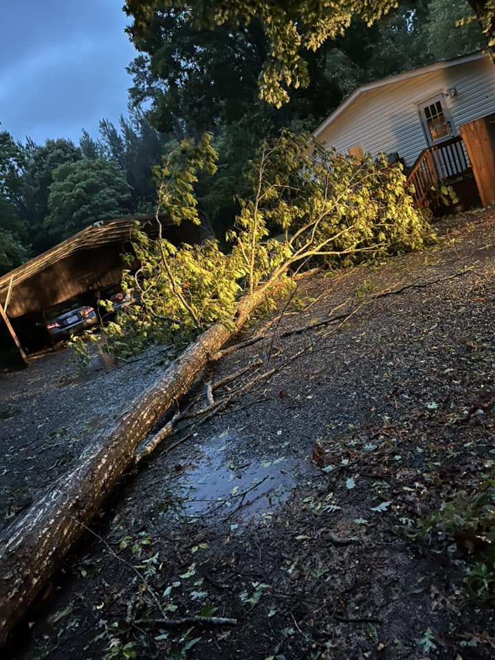  for DW’s Tree Service in Winston-Salem, NC
