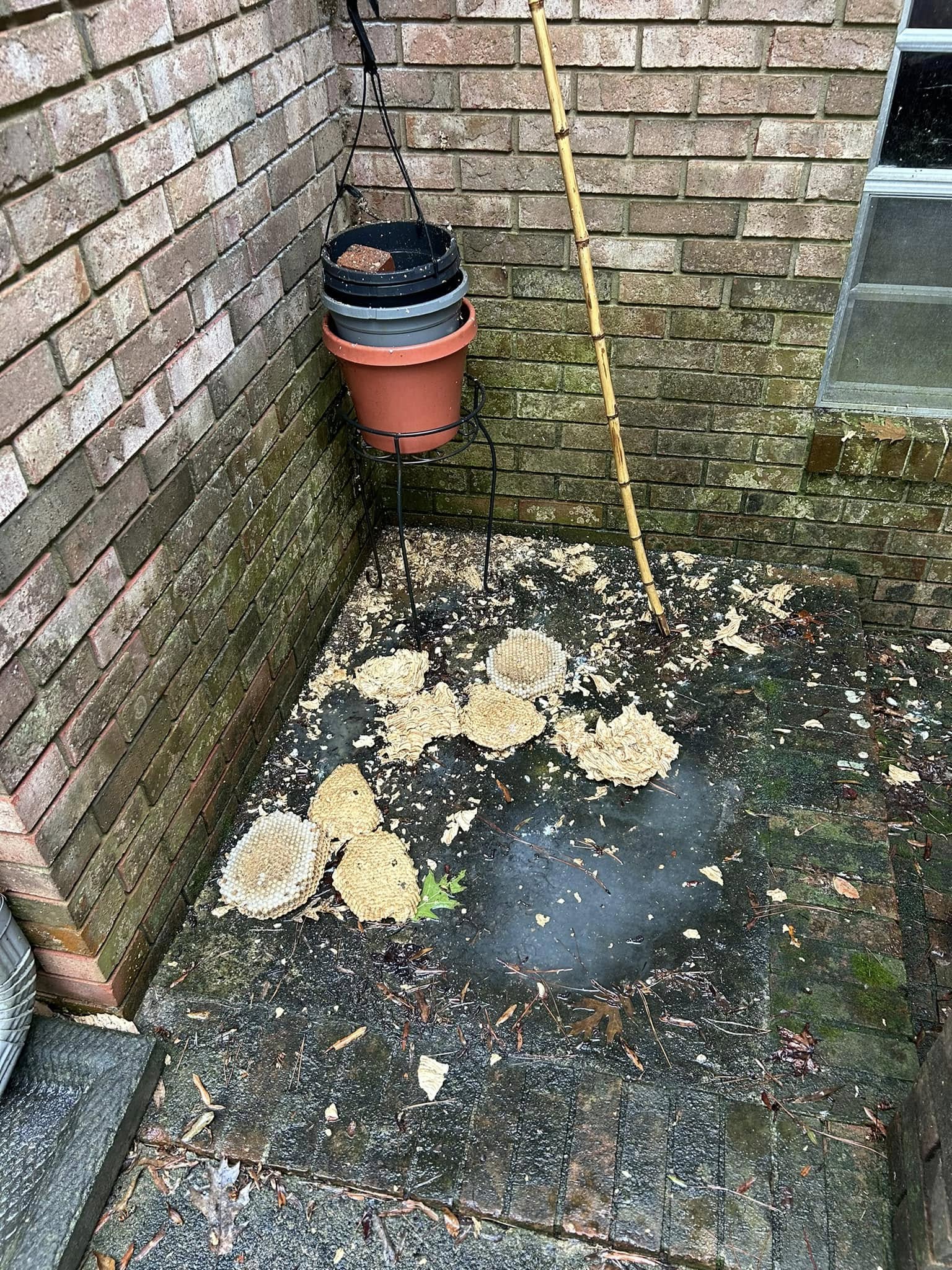  for Winecoff Pest Control in Salisbury, NC