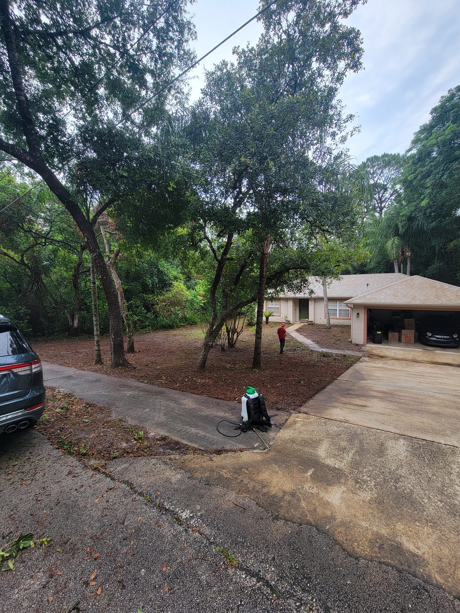  for Vanic's Landscaping in Port Orange, FL