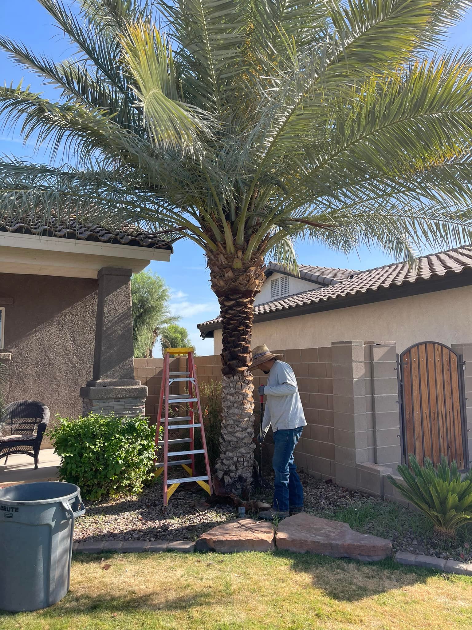  for Yuma Palms & Tree Service in Yuma, AZ