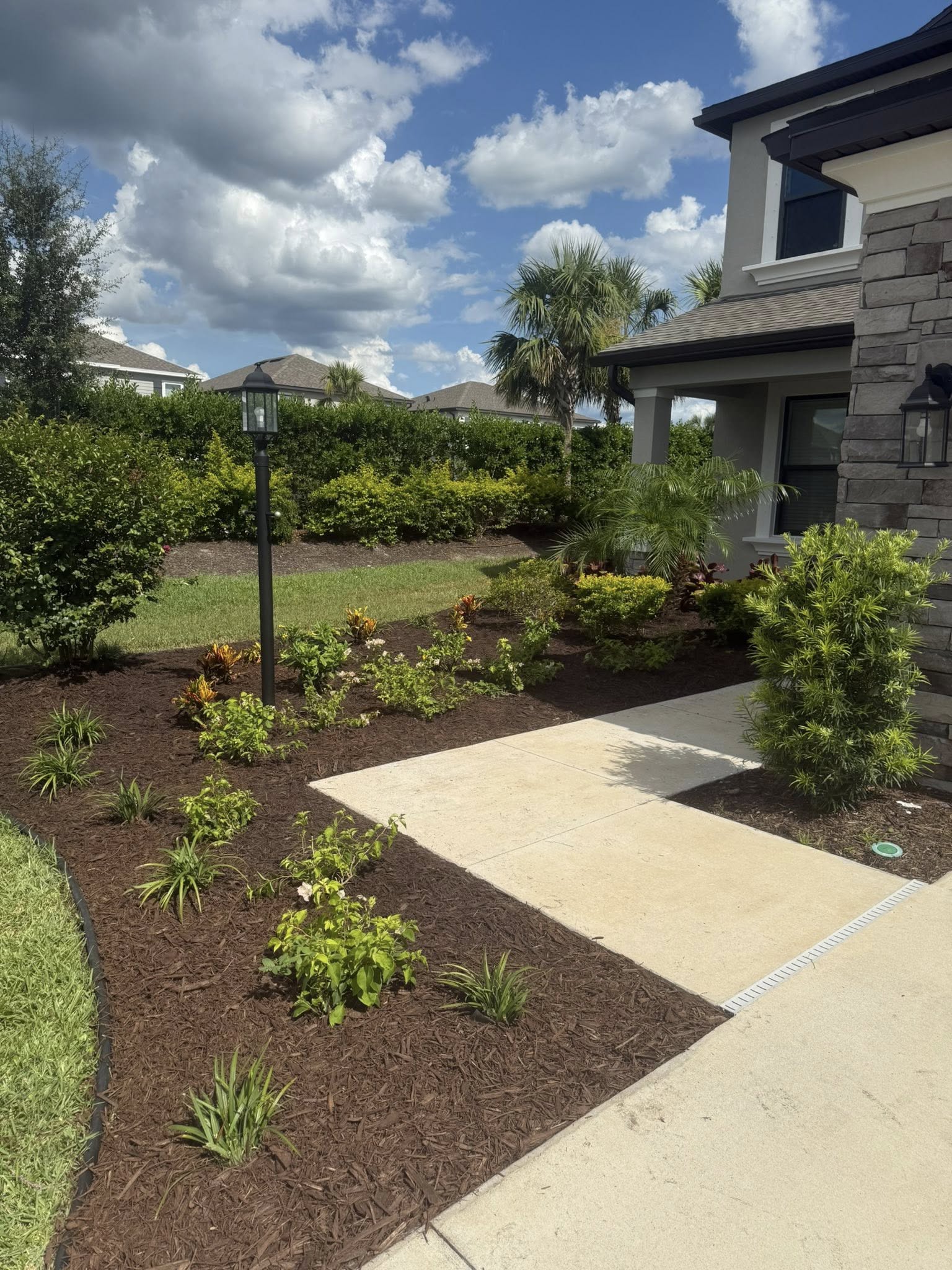  for Damian’s Tree Care in Sarasota, FL