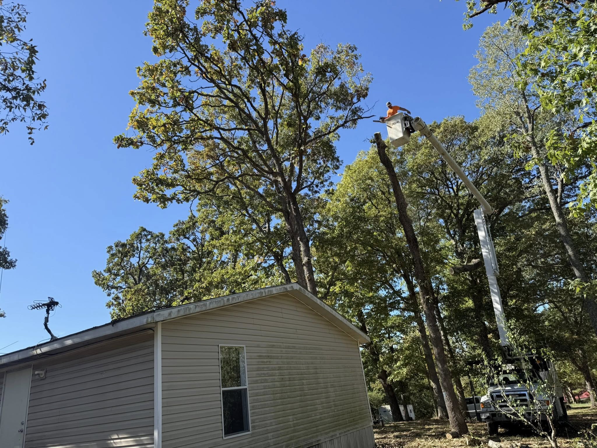  for Lightning Tree Service in Fair Grove, MO