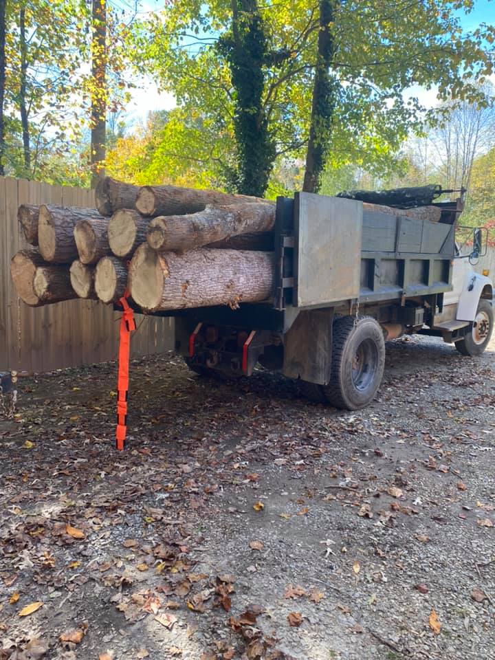  for GA Bear Dumpster Rental in Cumming, GA