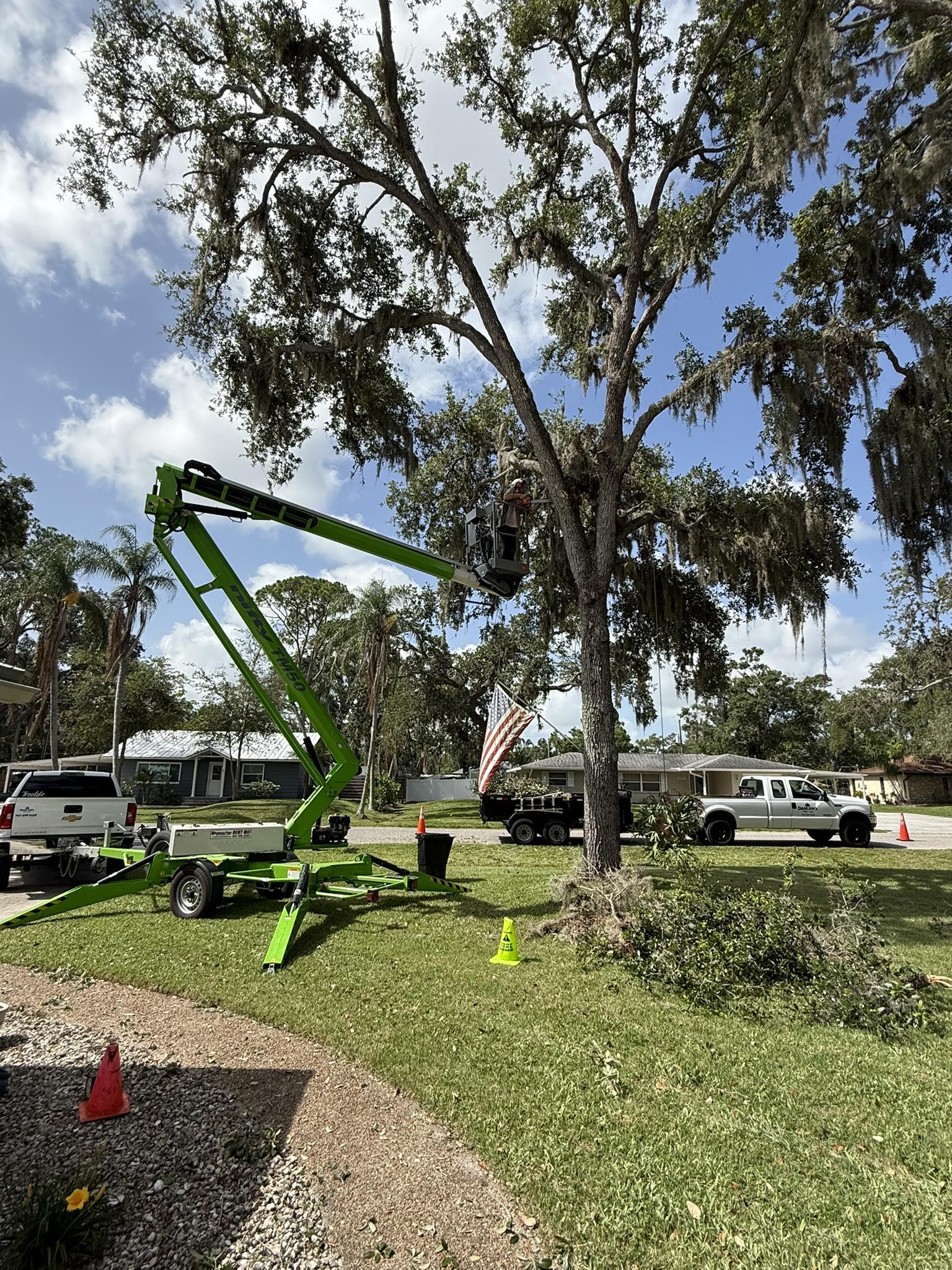  for Damian’s Tree Care in Sarasota, FL