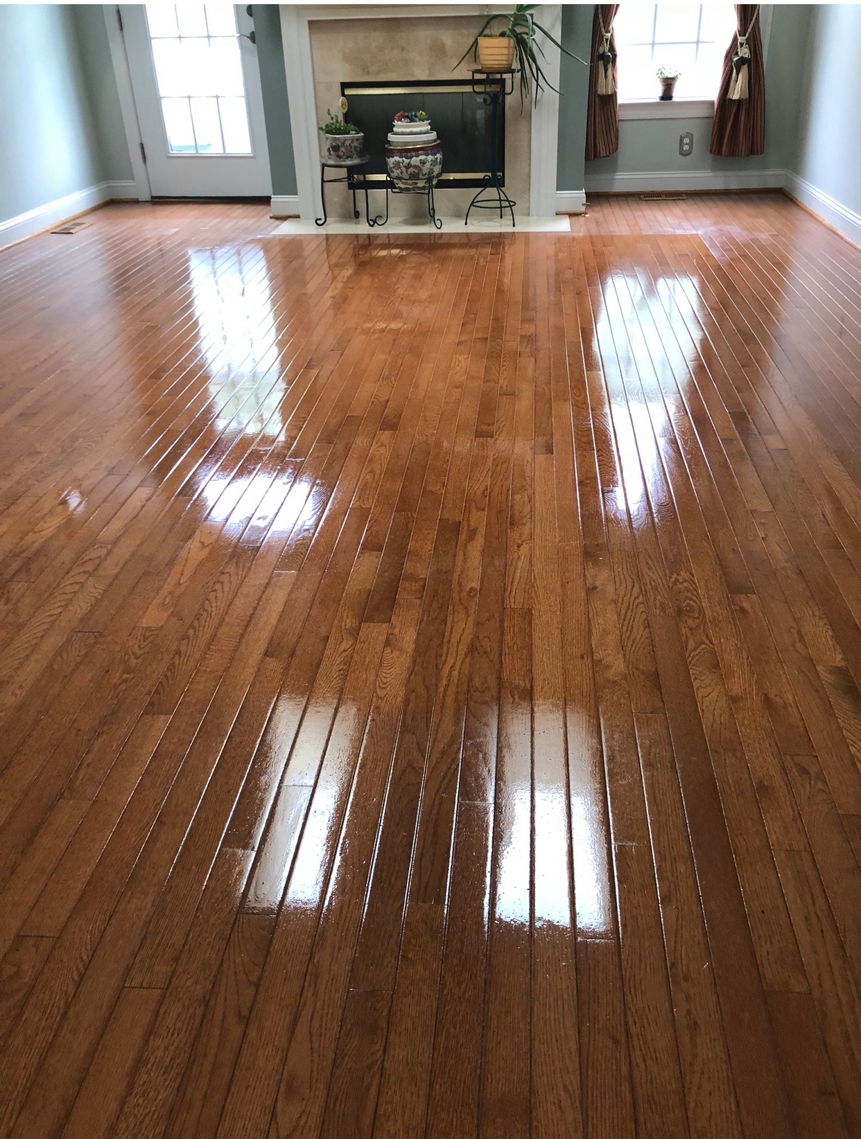  for Banderas Cleaning Service in Elsmere, DE