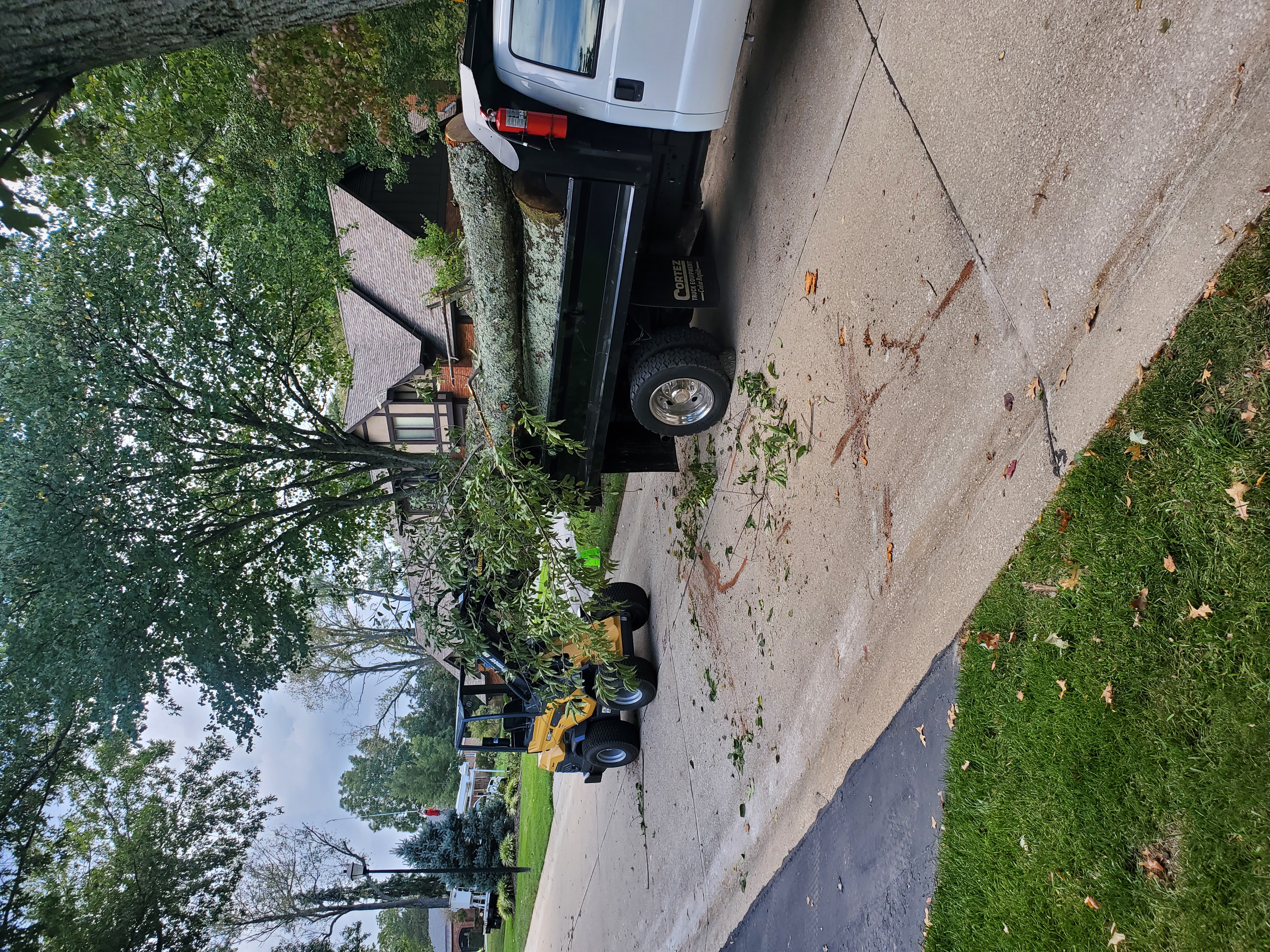 Crew loading brush into a dump truck with a compact loader on a residential street