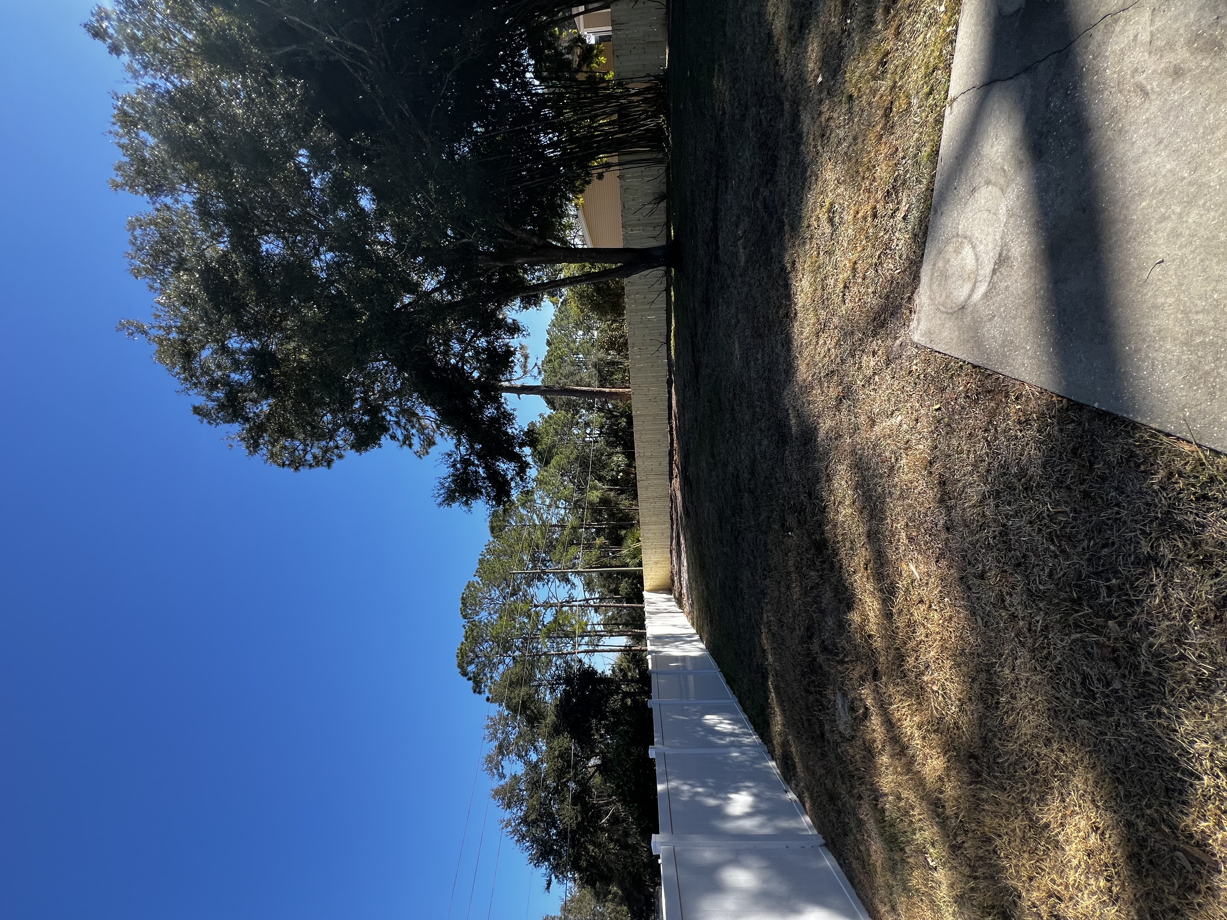  for Browne’s Yard Creations in Fruitland Park, FL