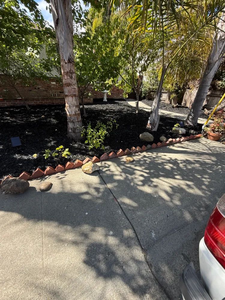  for CBA Landscaping in Hayward, CA
