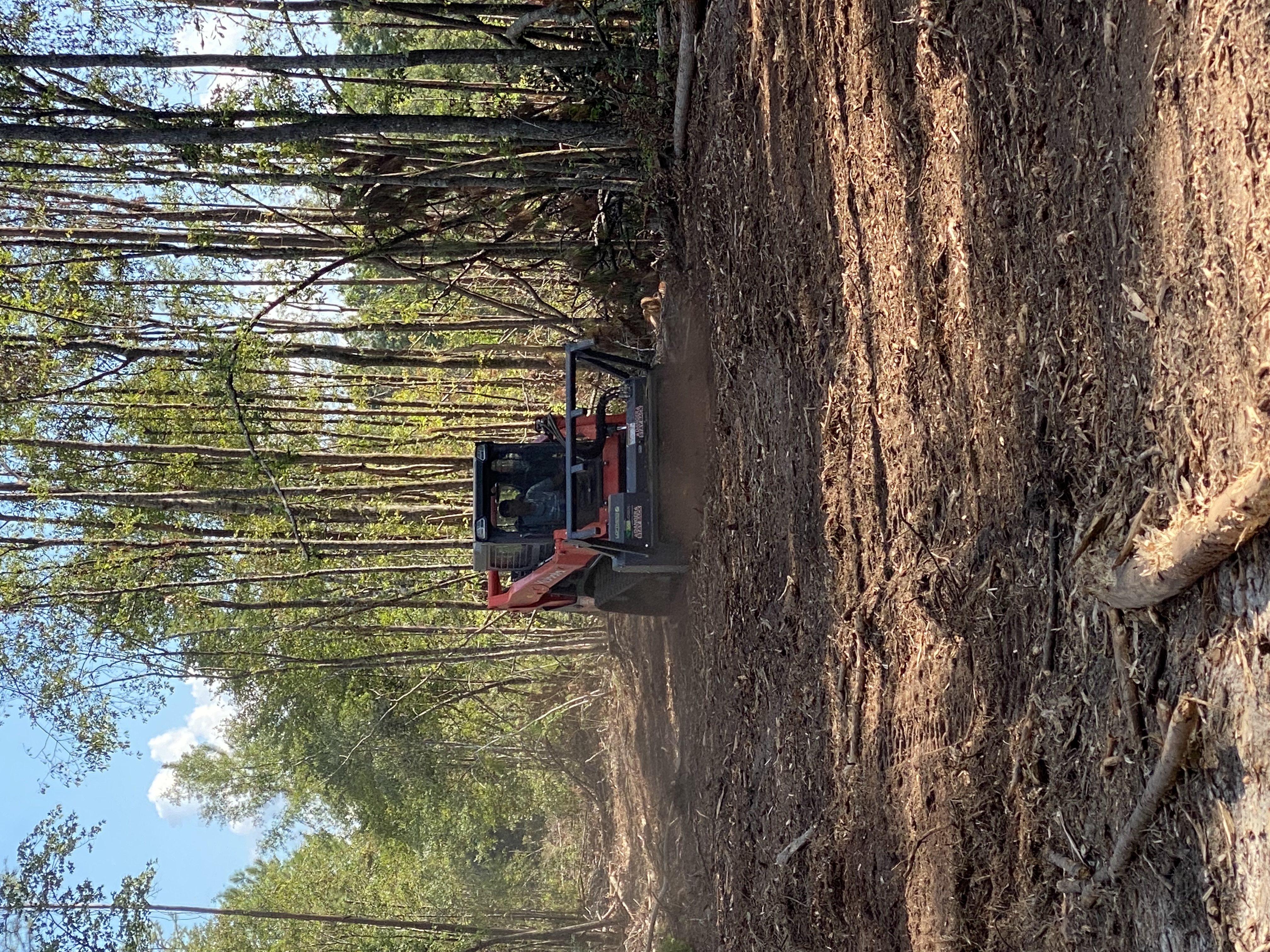 for T&S Land Management Services in Effingham County, GA