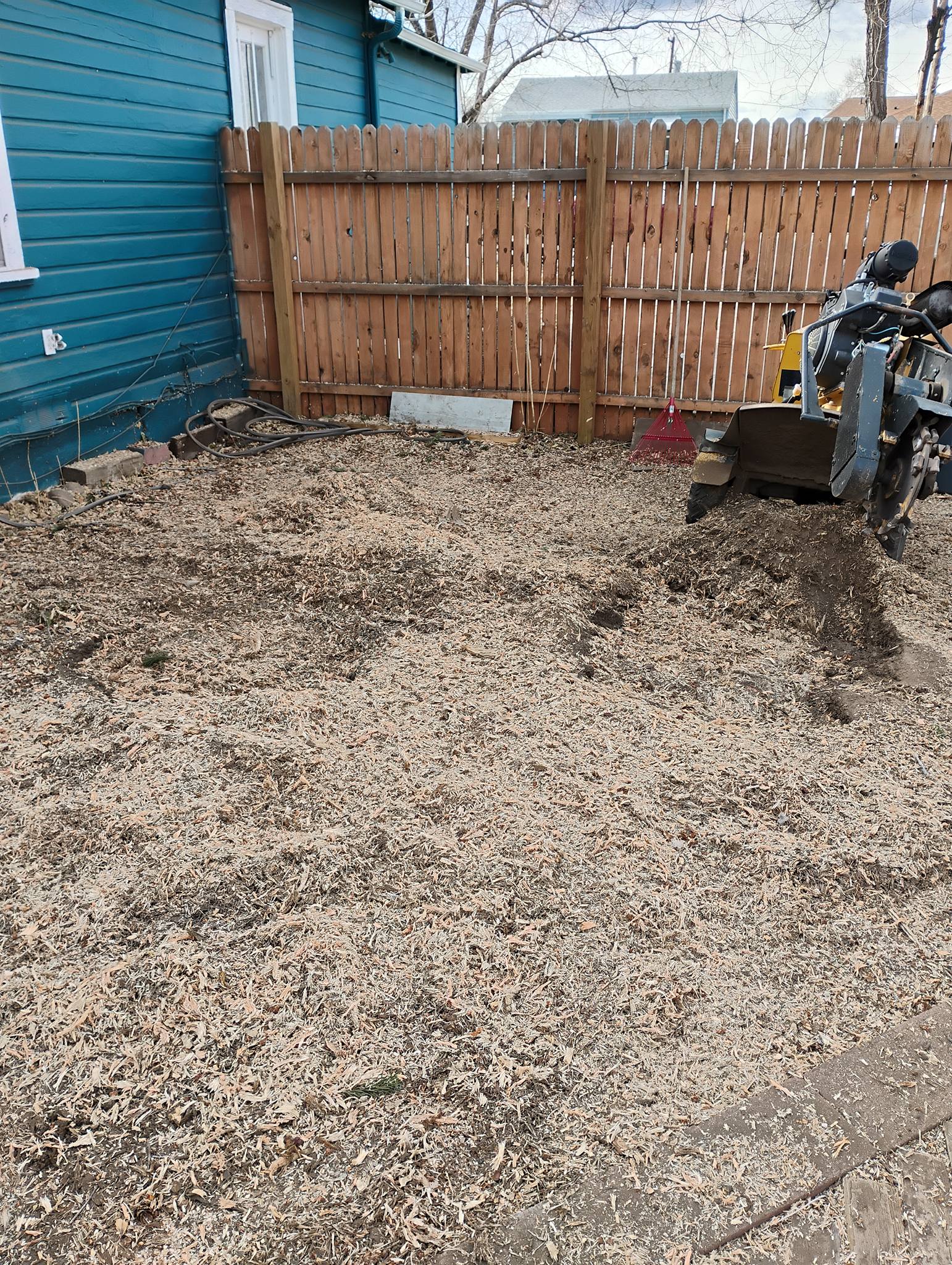  for Sloan Tree Service in Aurora, CO