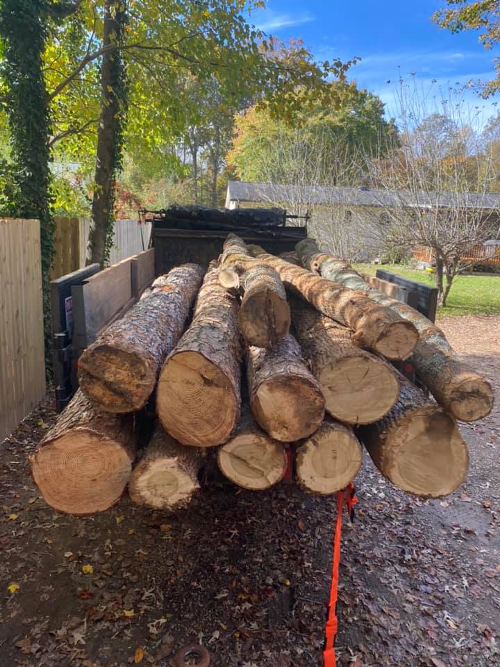  for GA Bear Dumpster Rental in Cumming, GA