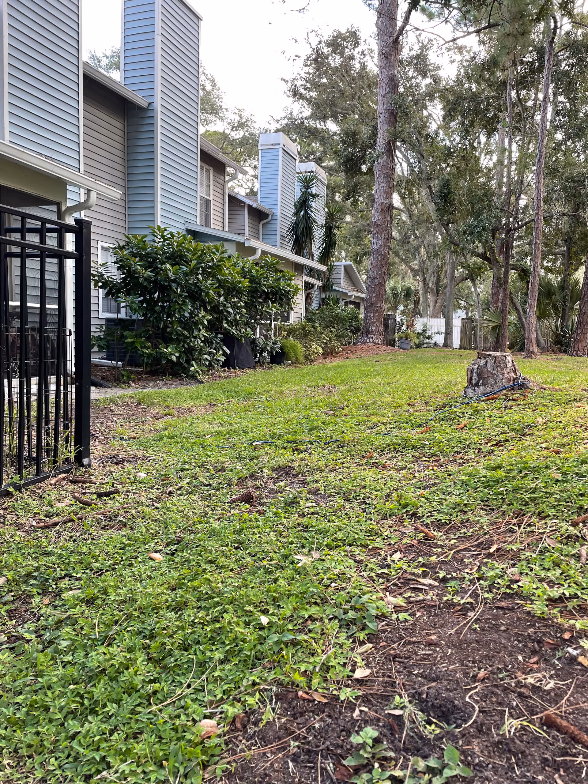 Backyard Drainage Swale Fixes Runoff Flooding Near Foundation
