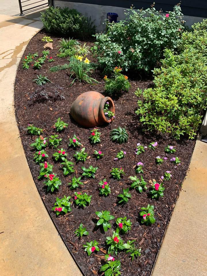  for Arbor Max Solutions in Gun Barrel City, TX