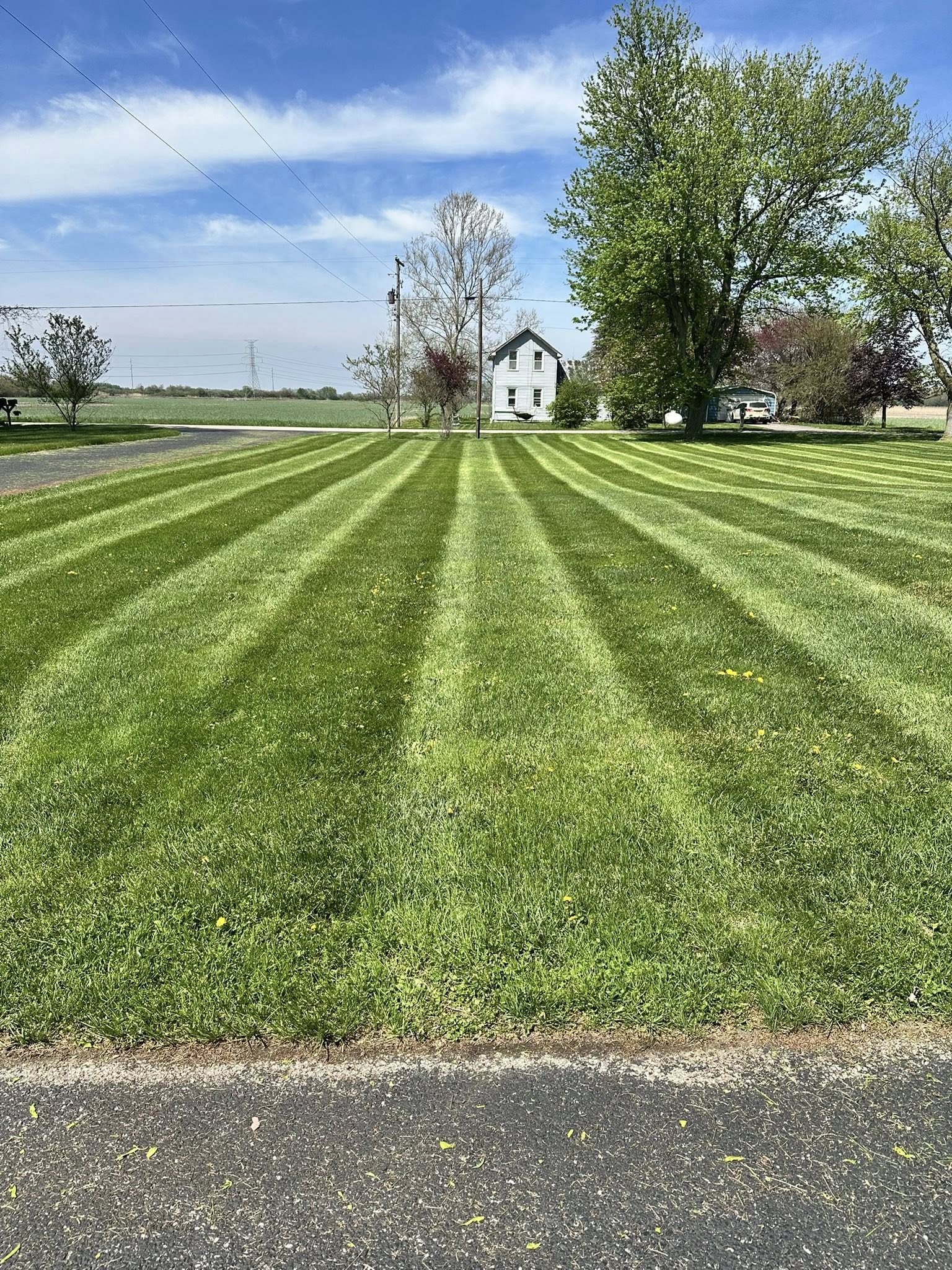  for Sargent's Lawn and Property Maintenance LLC in Lambertville, MI