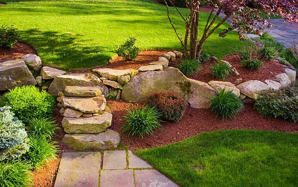 Coney's Quality Lawn Services LLC team in Aurora, CO - people or person