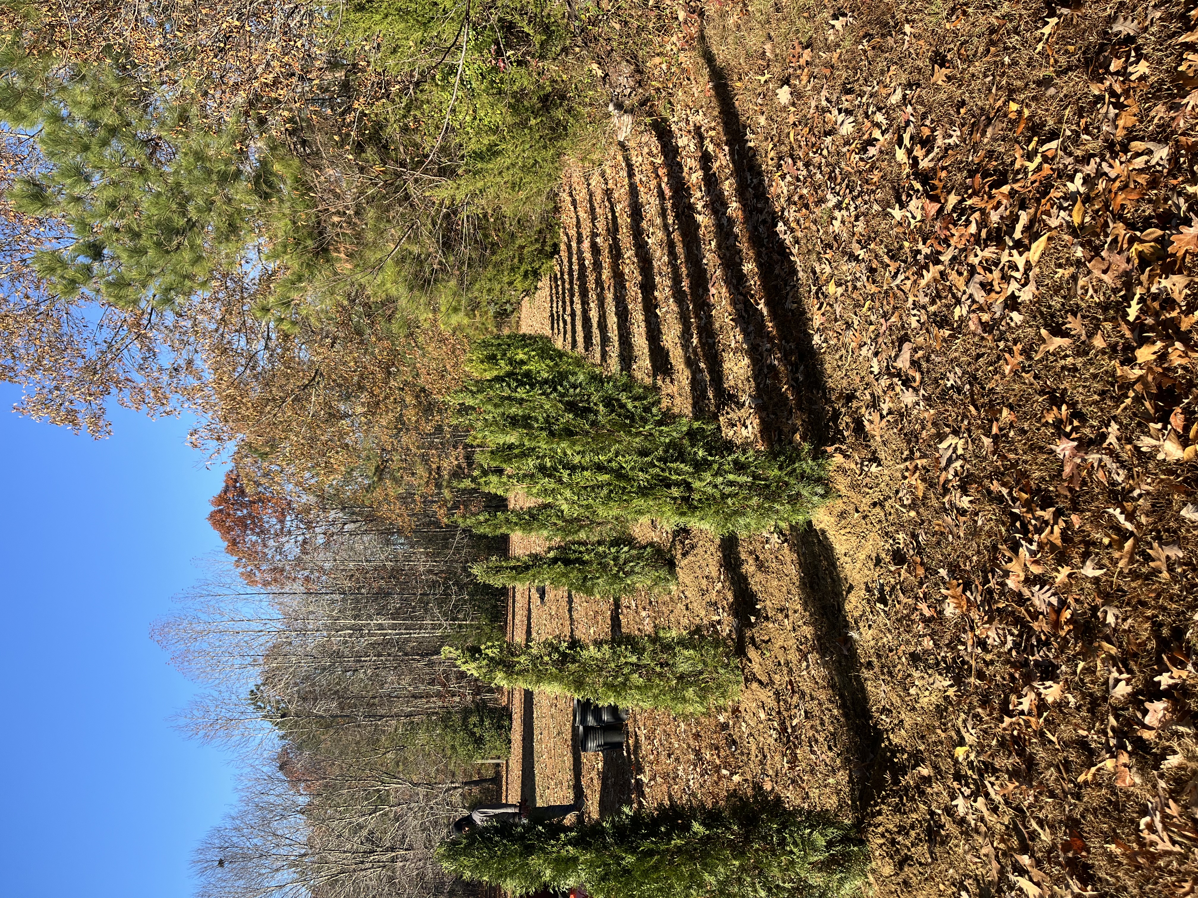  for Atlas Home Services in Mechanicsville, VA