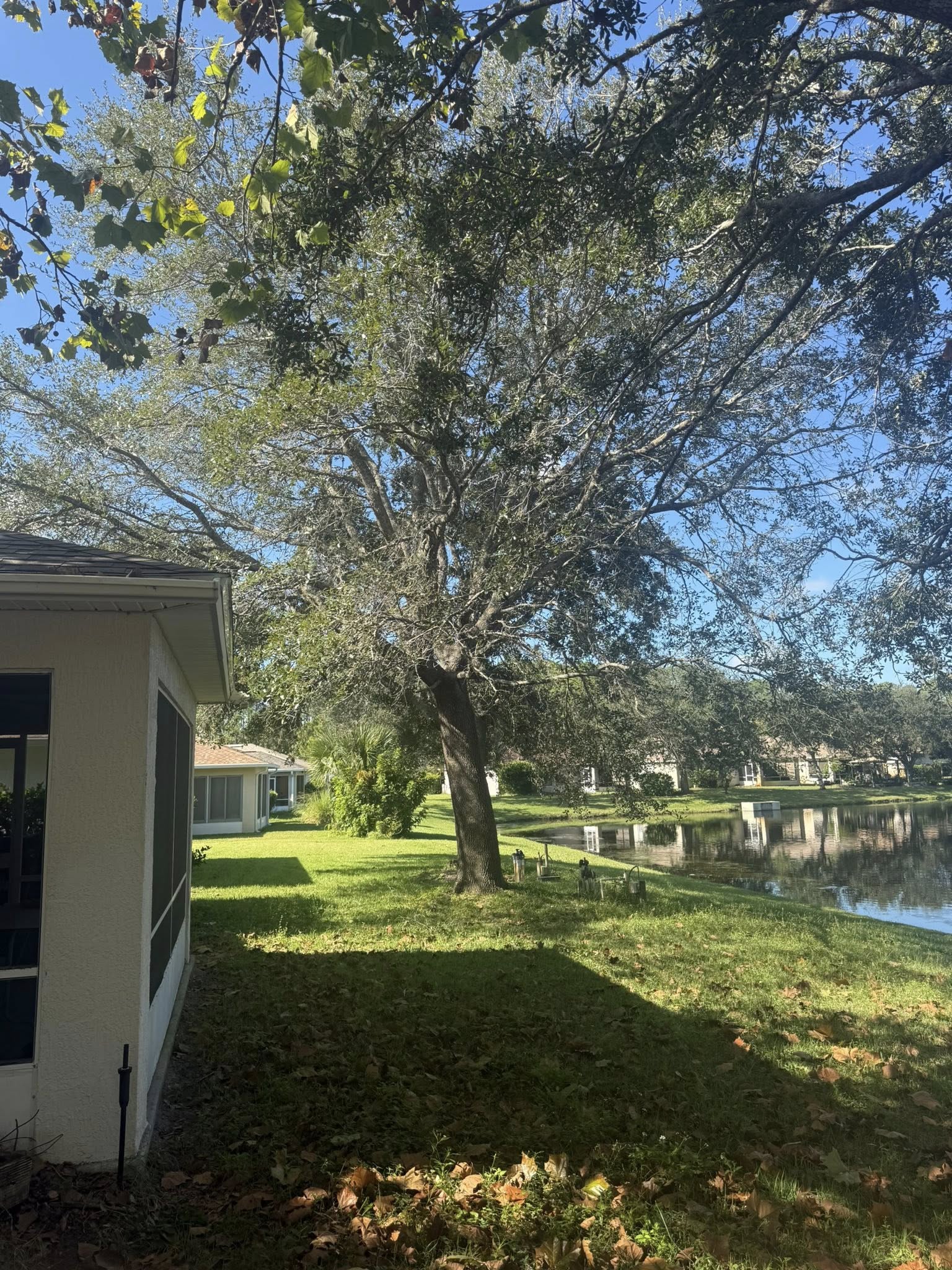  for Grind Time Tree Service in Daytona, FL