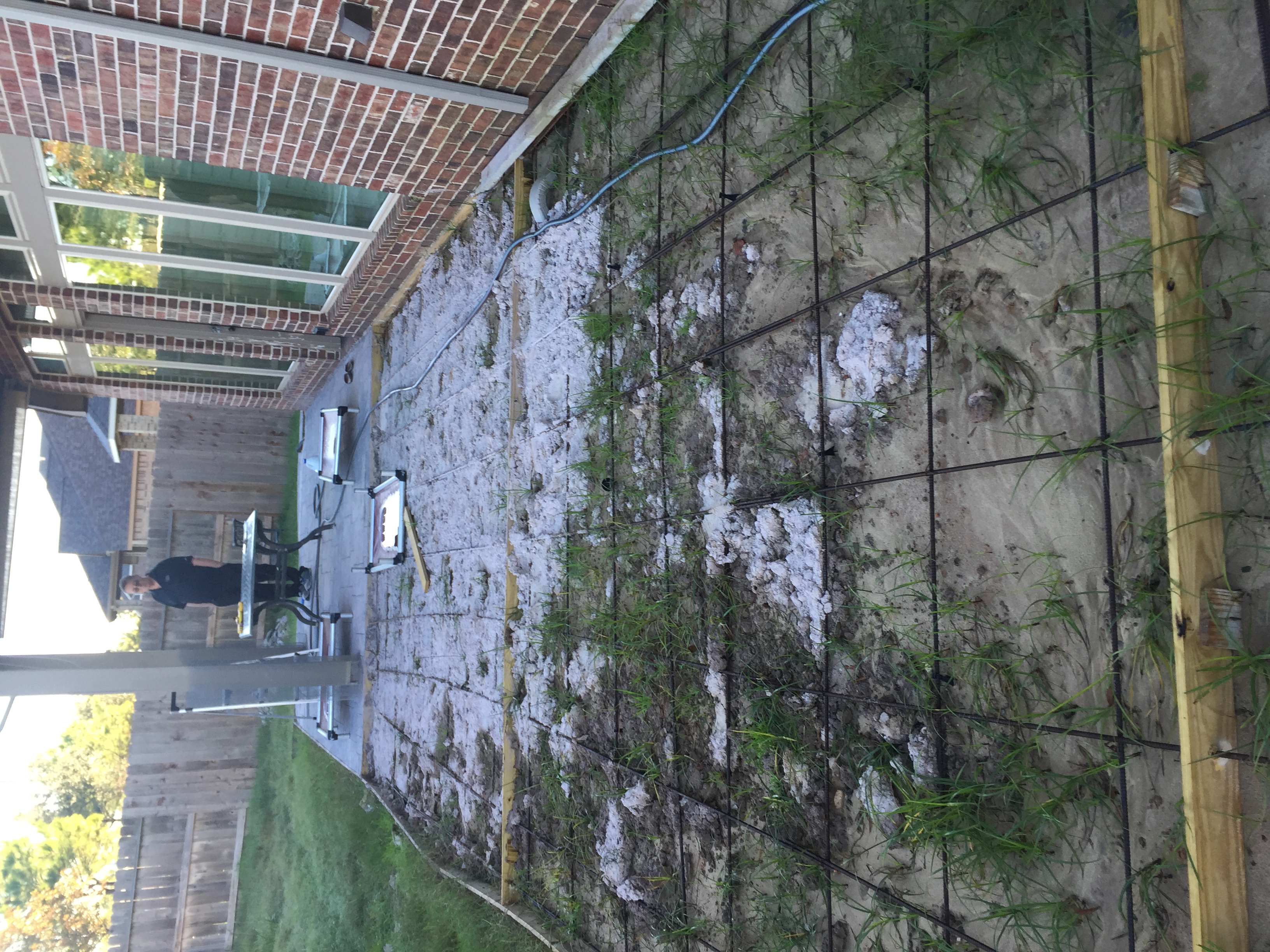  for Texas Curb N Borders in Houston, TX