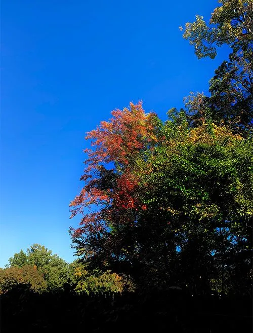  for R Merkli Inc. in Mount Vernon , VA