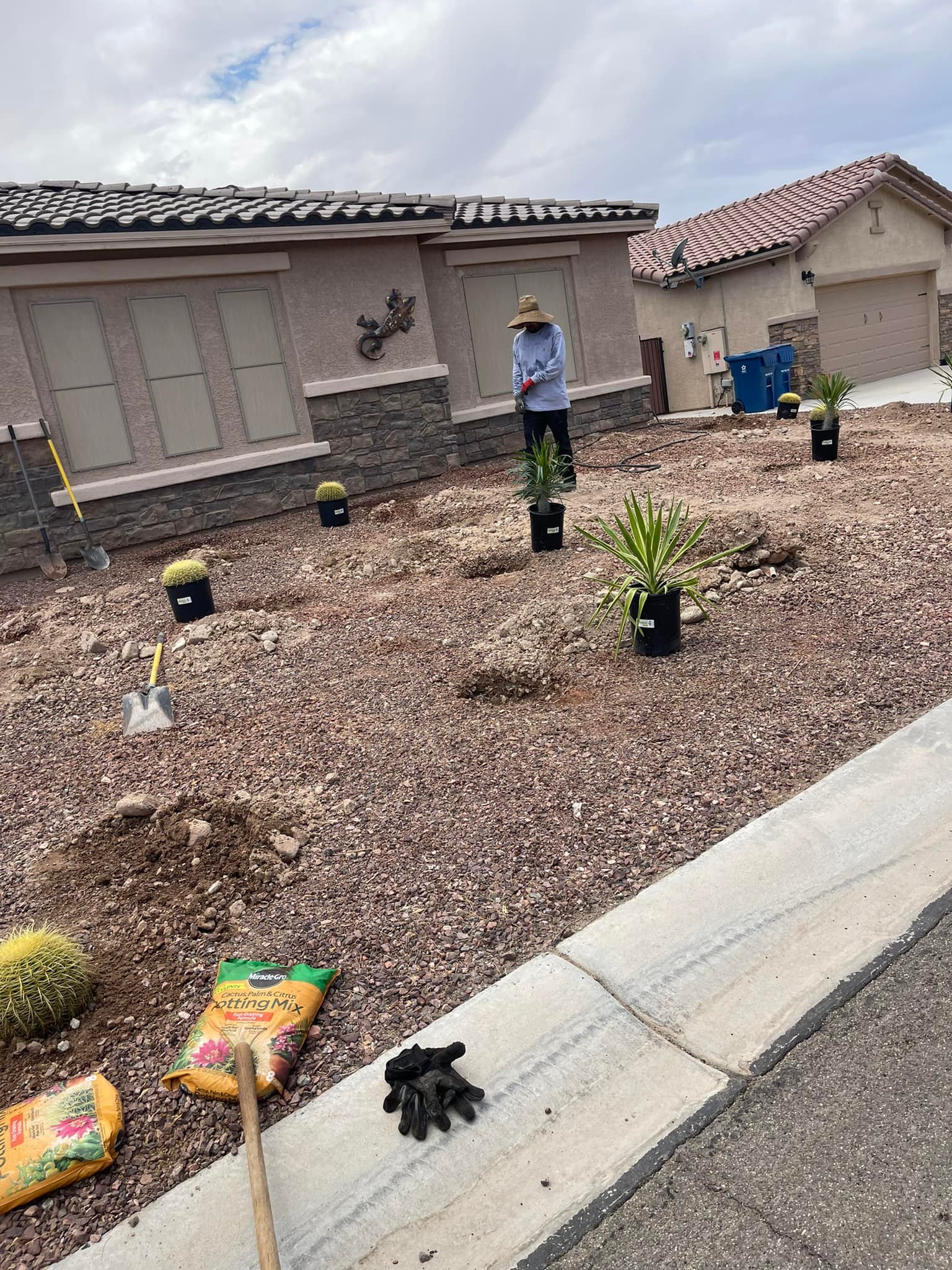  for Yuma Palms & Tree Service in Yuma, AZ