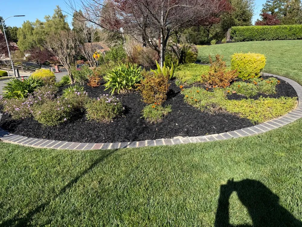  for CBA Landscaping in Hayward, CA