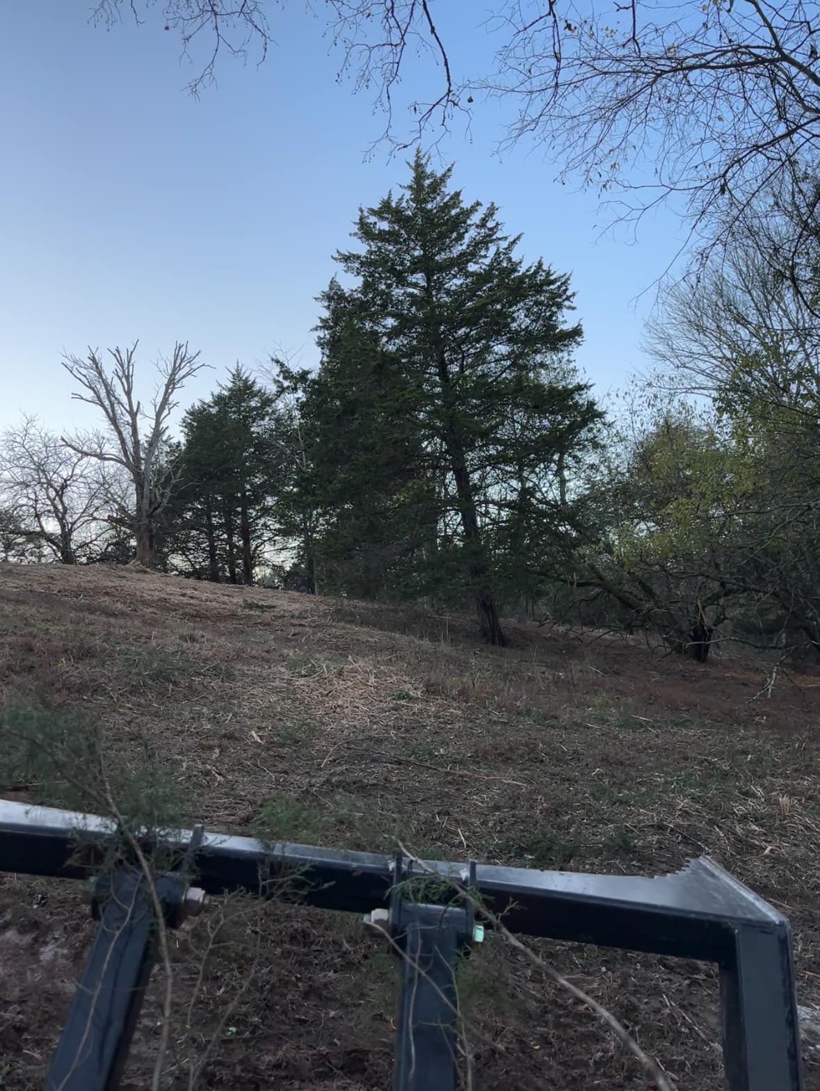  for Gregory Grass and Land in Lafayette, TN
