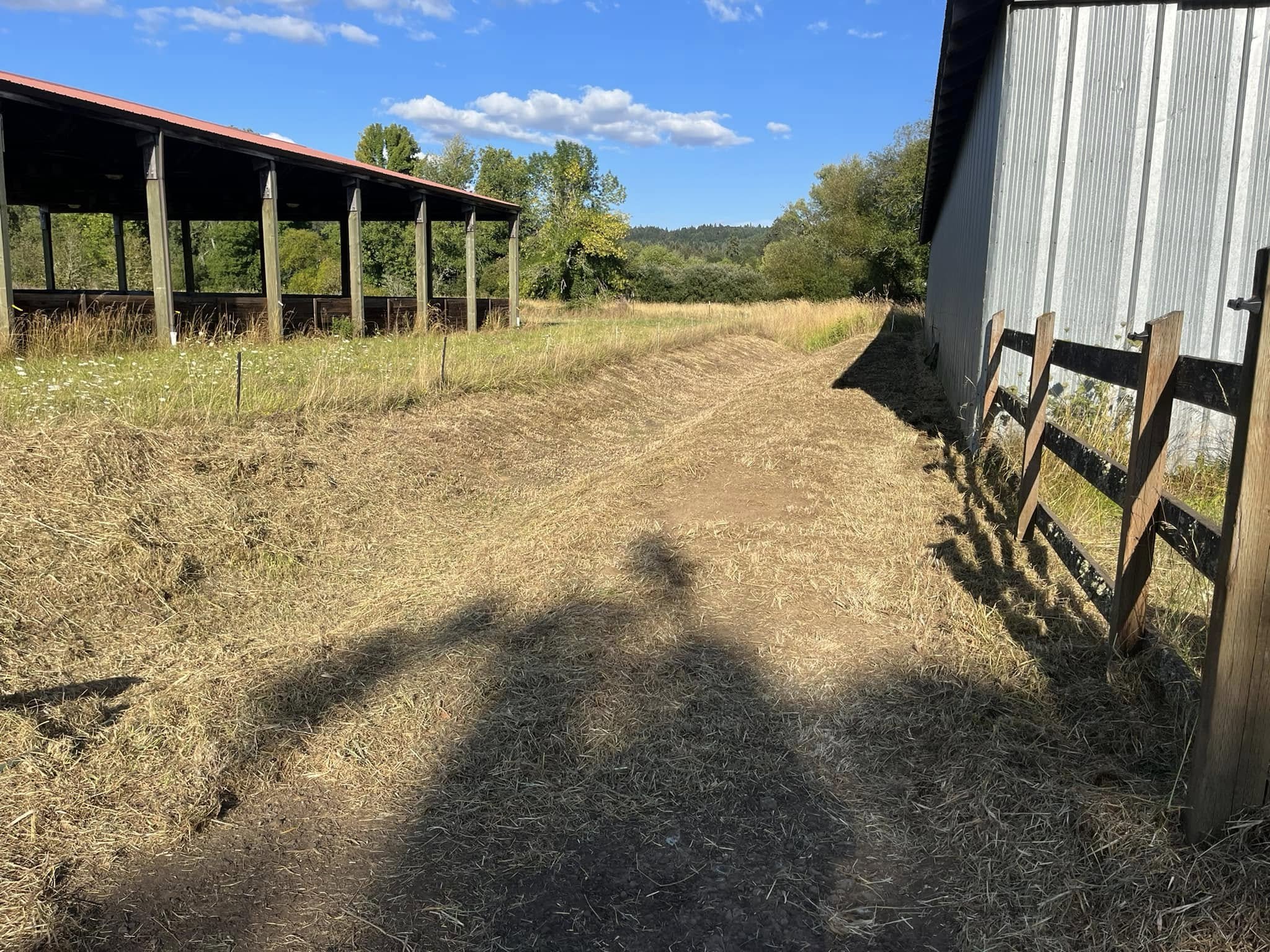  for Ring Property Maintenance in Willamina, OR