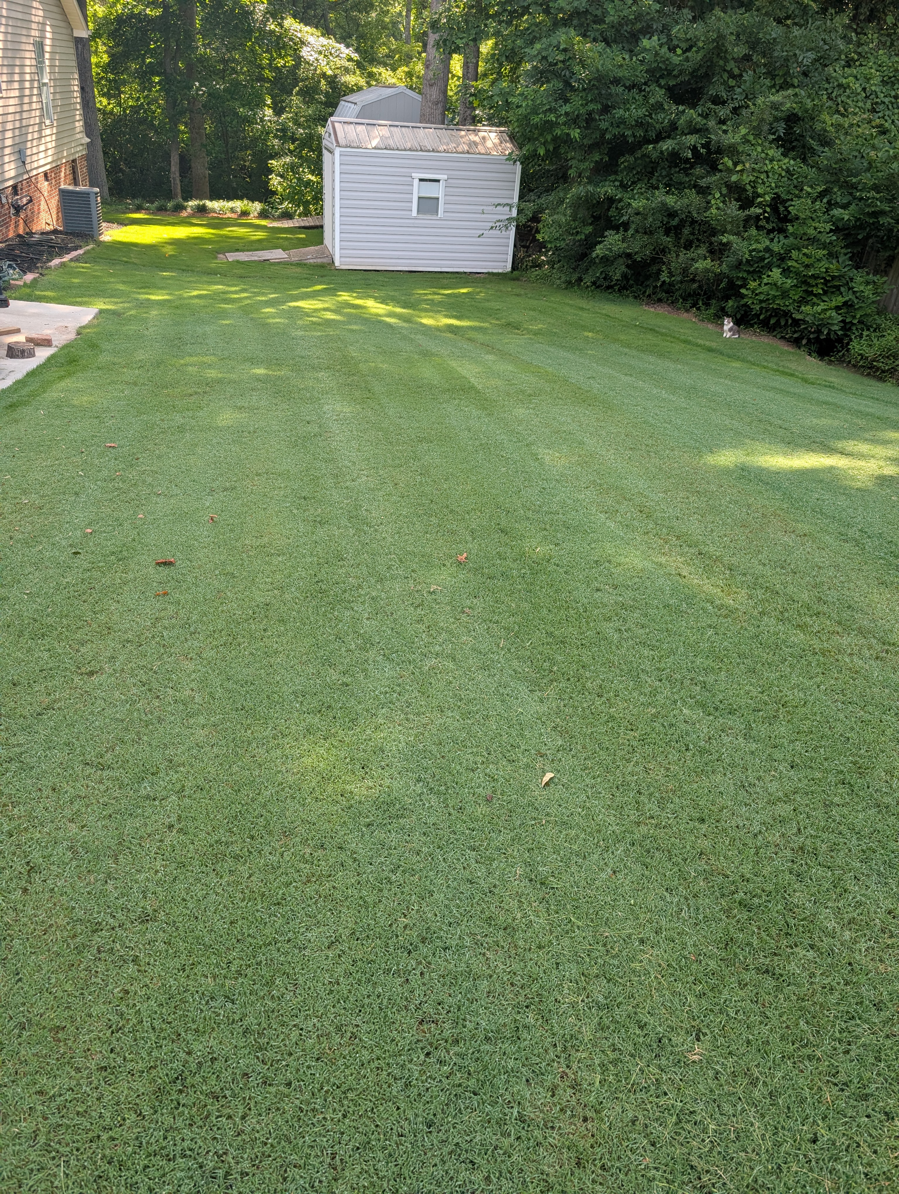  for Teacher Man Lawn Care in Easley, SC