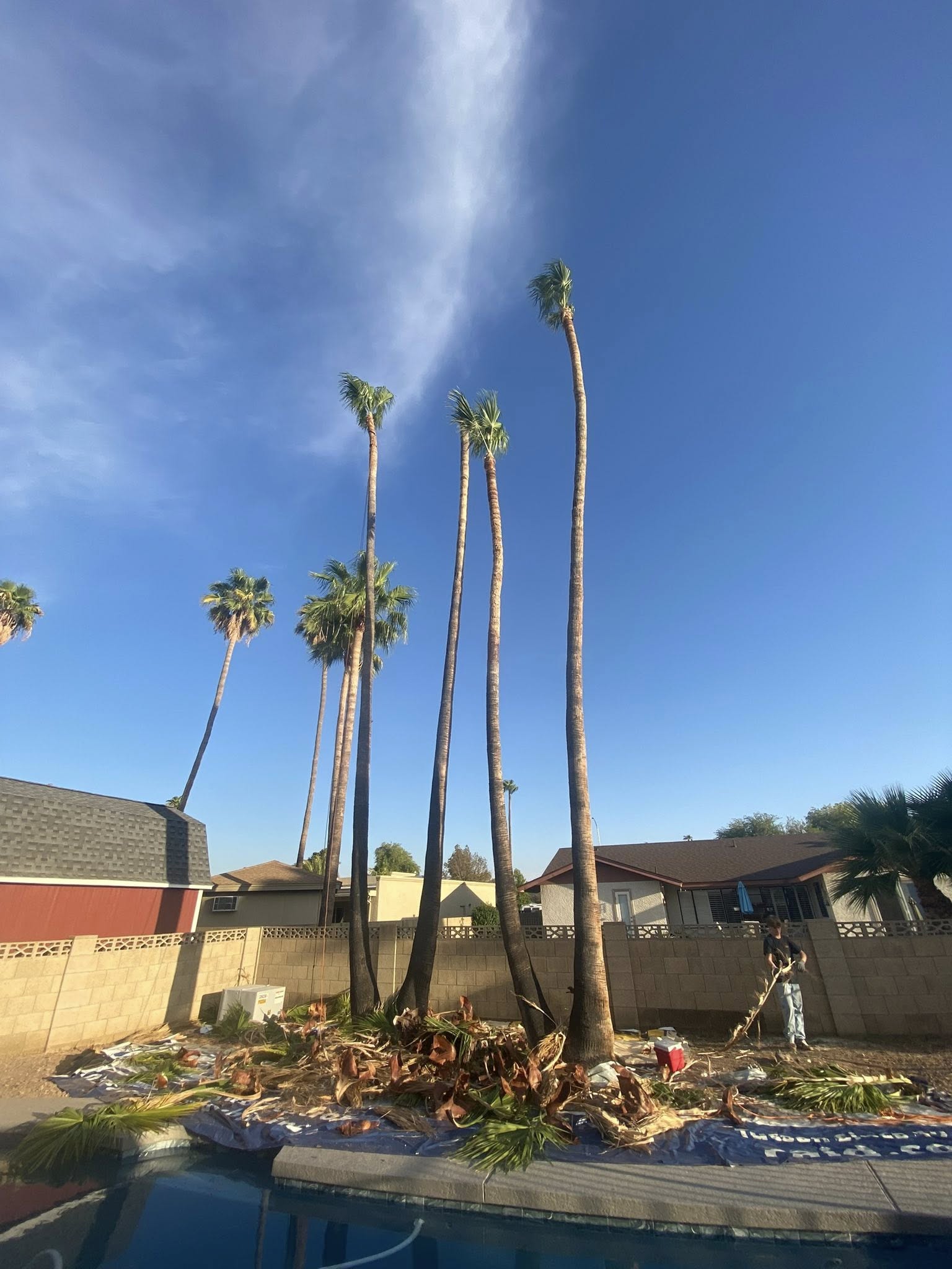  for Copperhead Solution in Phoenix, Arizona