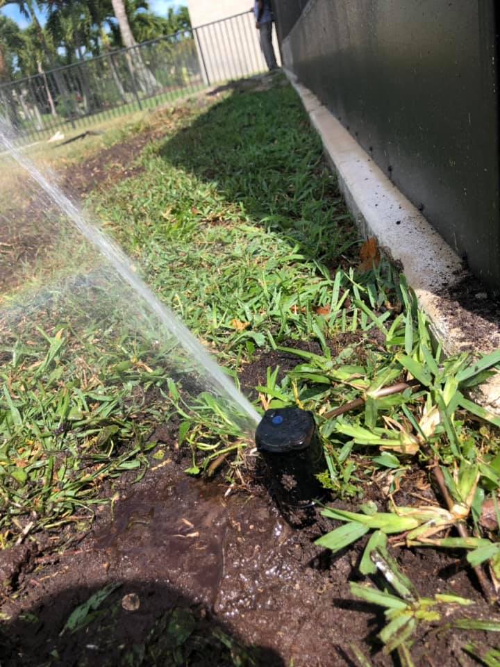 Perrone Irrigation team in Coral Springs City Center, FL - people or person