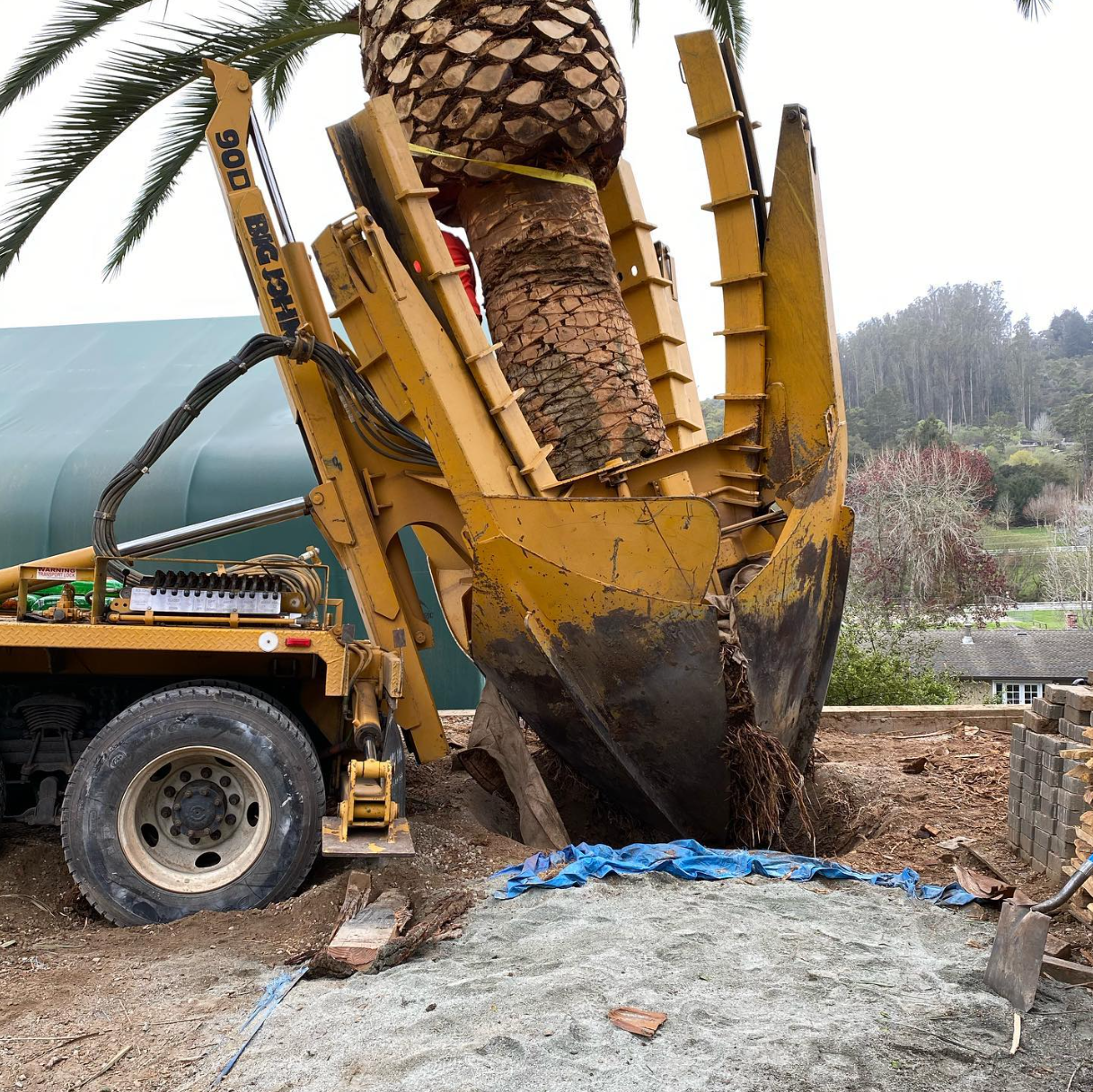  for A1 Tree Care in San Jose, CA