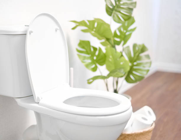  for Harvey's Drain Solutions in Alexandria, KY