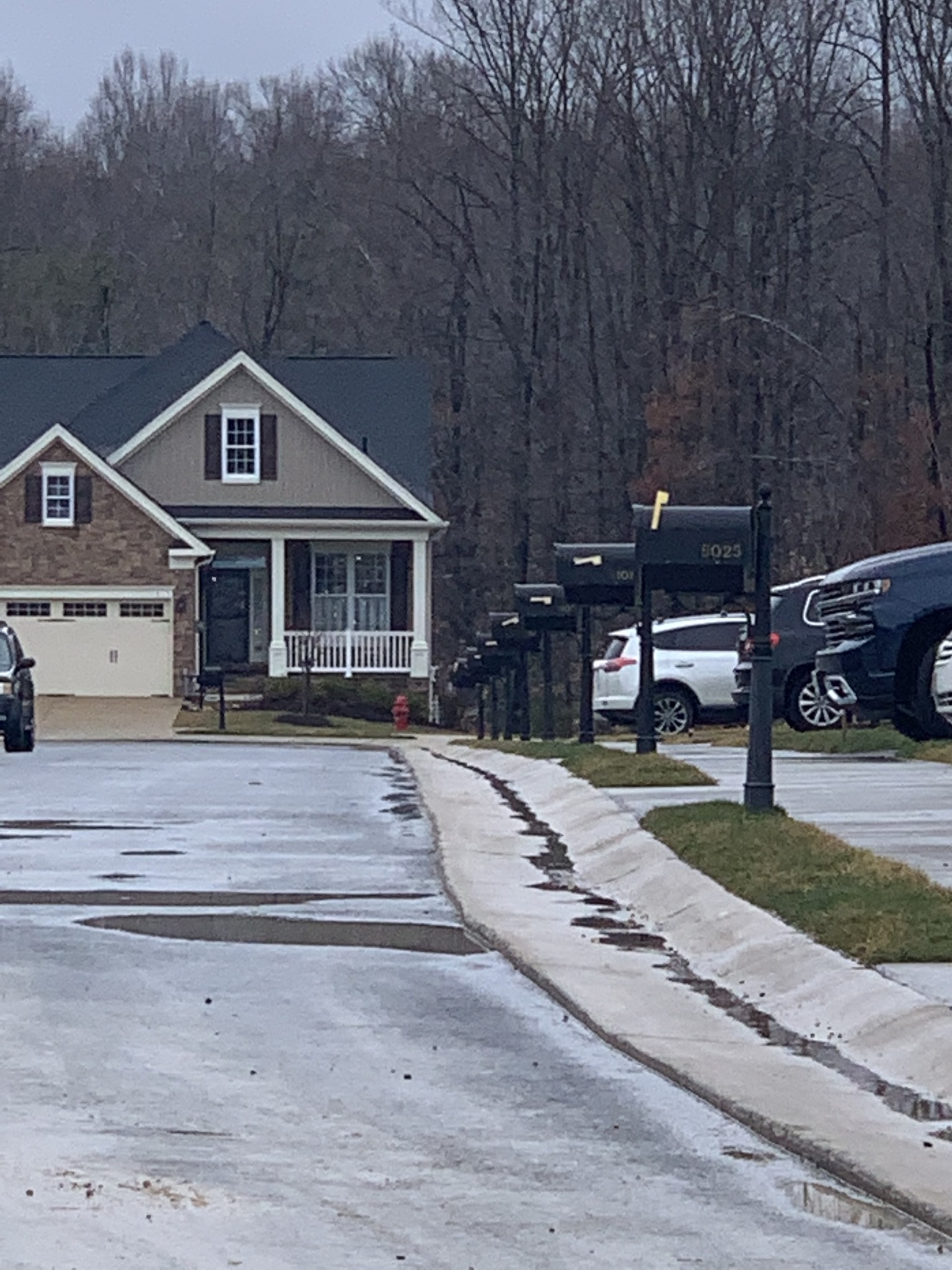  for Real Tree Signs and Mailbox  in Clearwater, FL