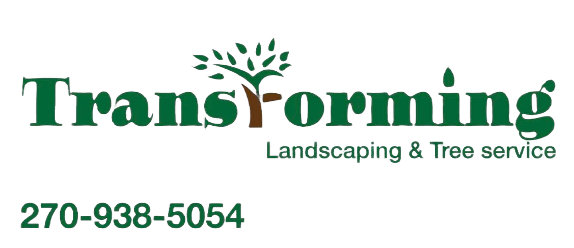 Logo image of Transforming Landscaping & Tree Service