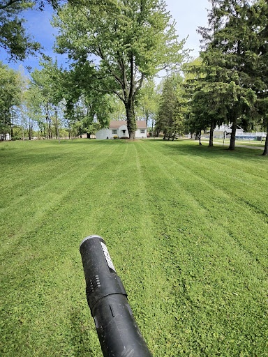  for Yard Theory in Willowick, OH