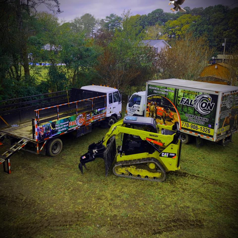  for Falcon stump grinding Tree services in Loganville, GA