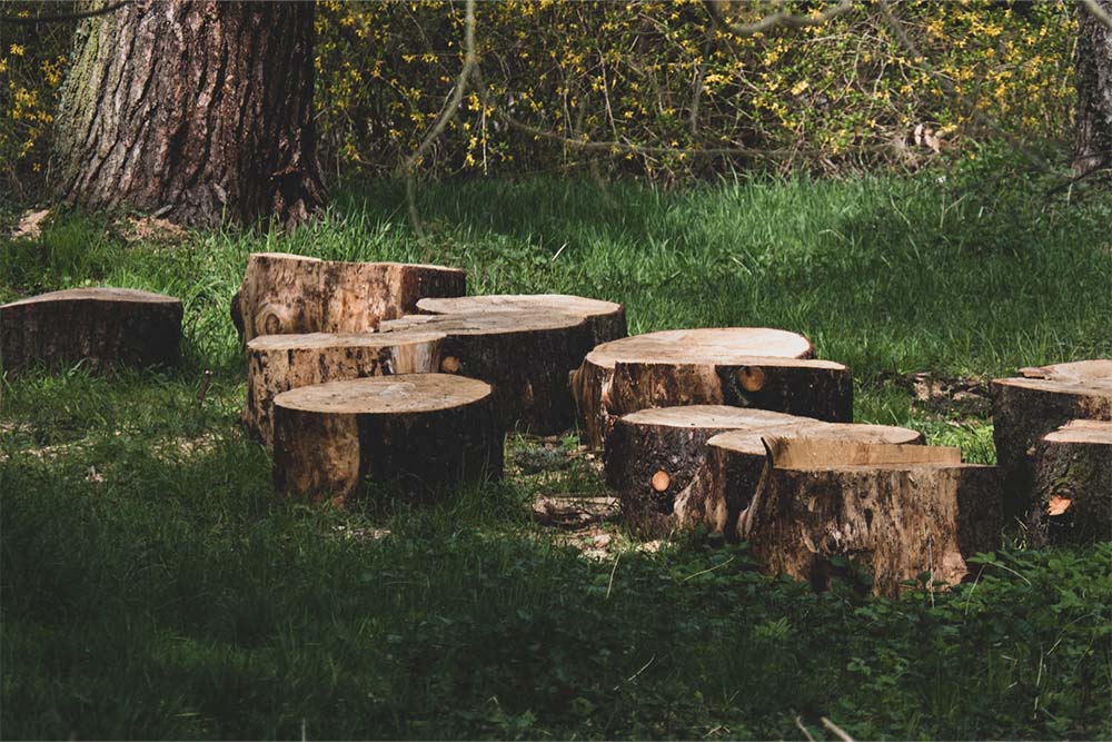 Hawkins Tree Service & Land Management team in Richmond Hill, GA - people or person