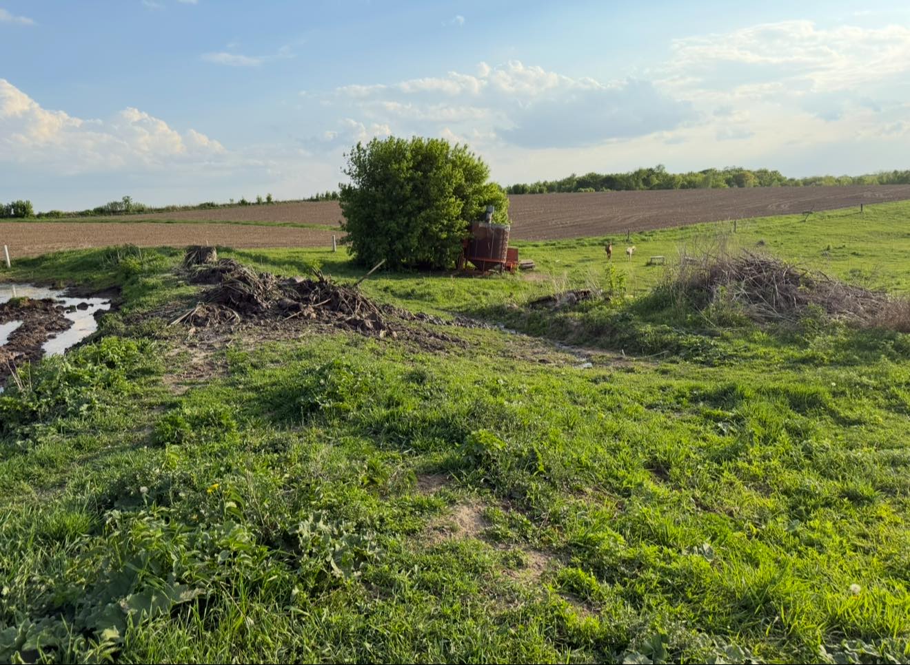  for Dittrich Excavating in Altura, MN