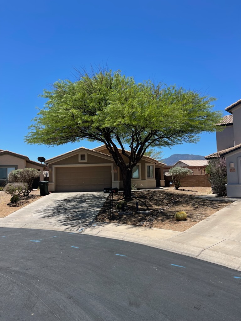 Tree Services company A to Z Grounds Keeping in Sierra Vista, AZ