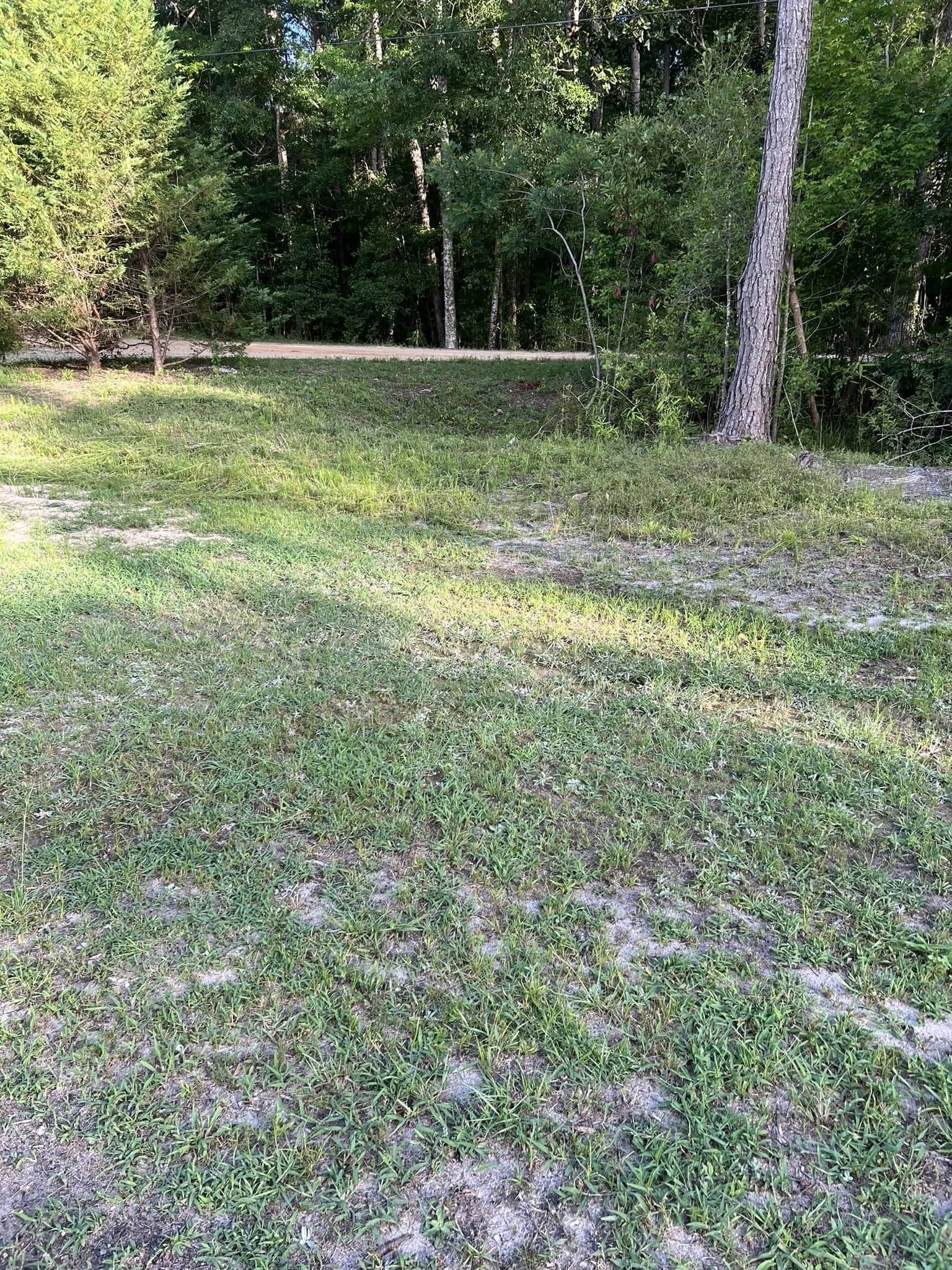  for Joseys Lawn and Tree Care in Chipley, FL