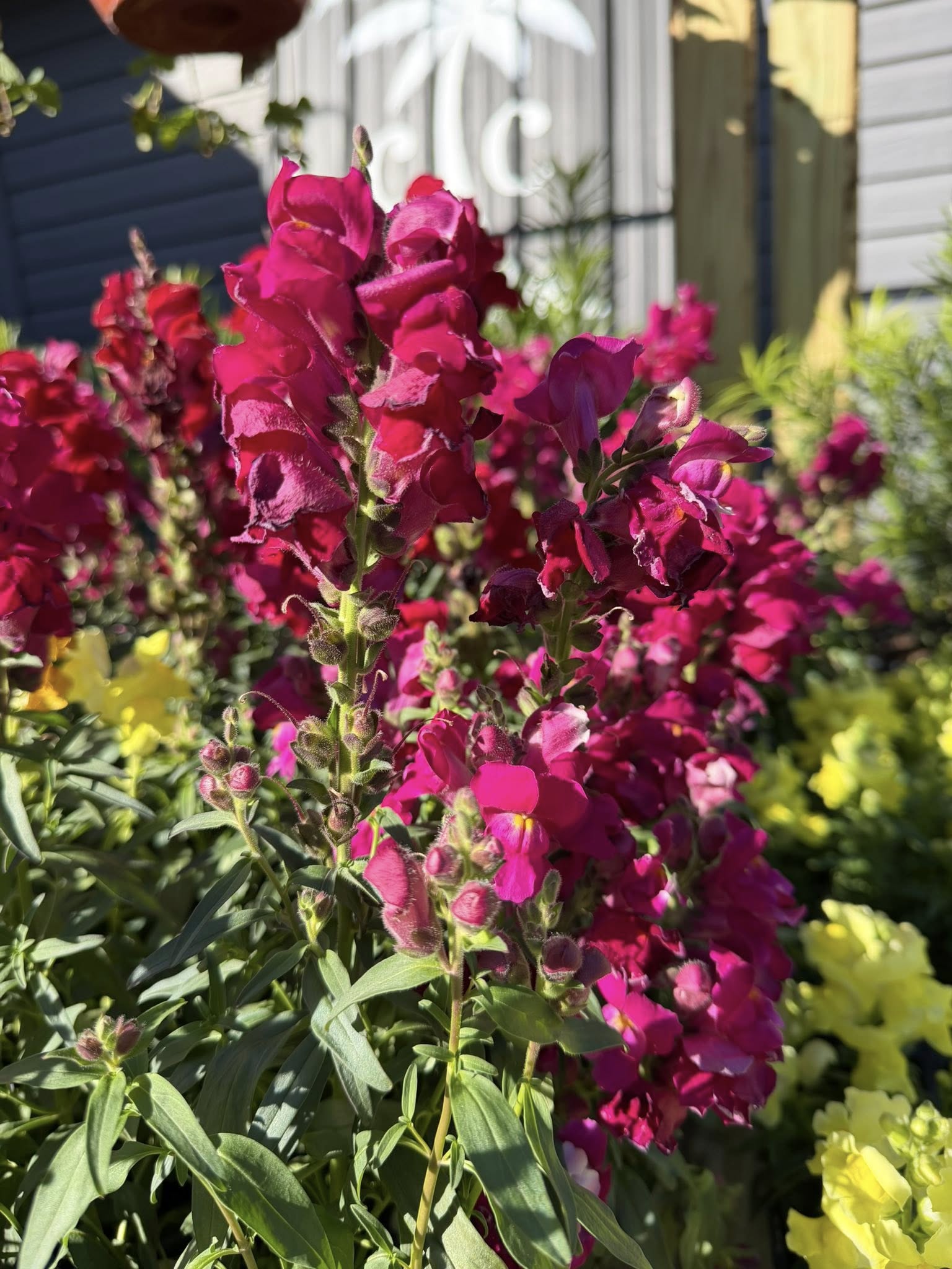  for Southern Roots Tree Farm in Crystal River, FL